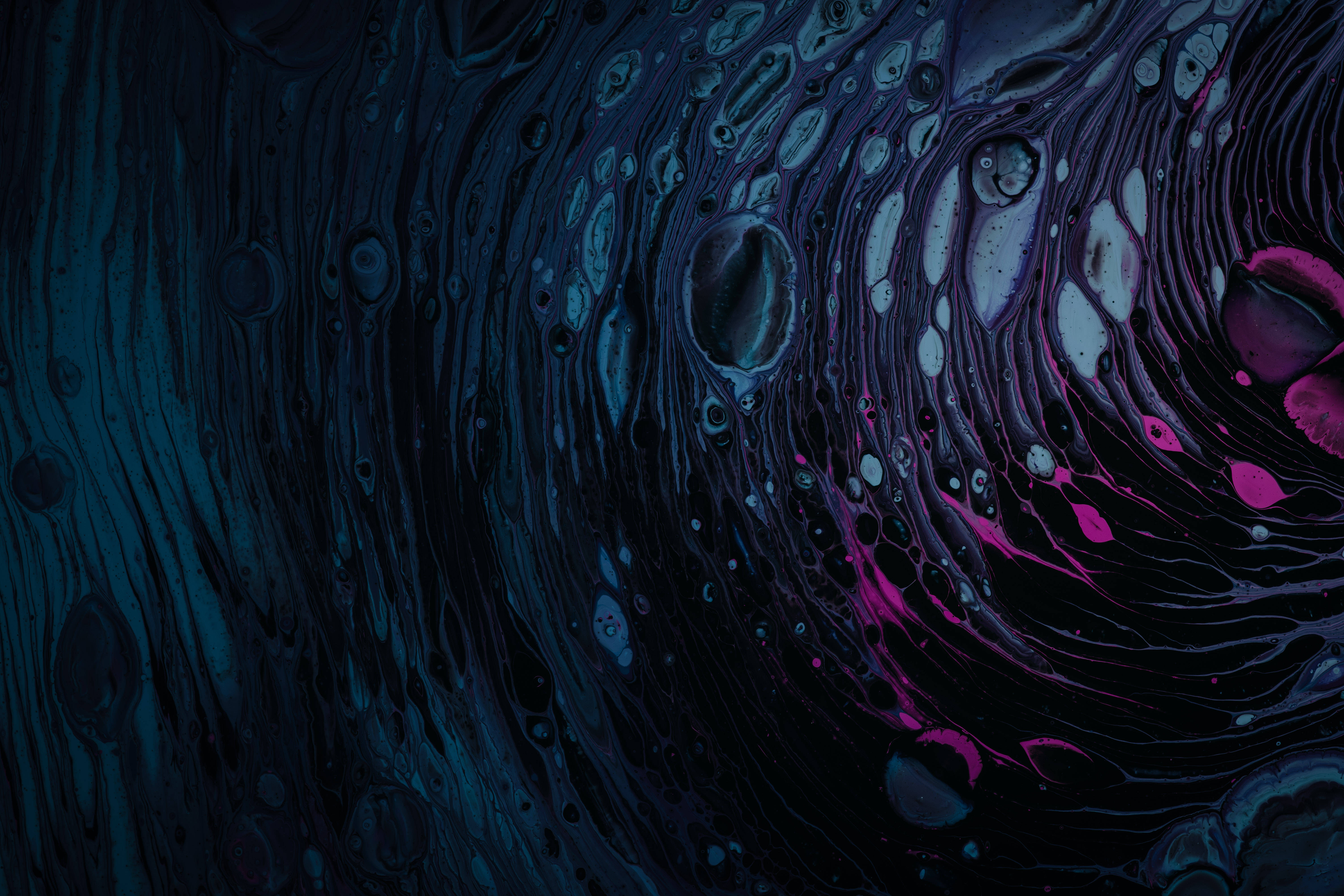 black abstract, deep blue, vibrant magenta, 5K Desktop Wallpaper