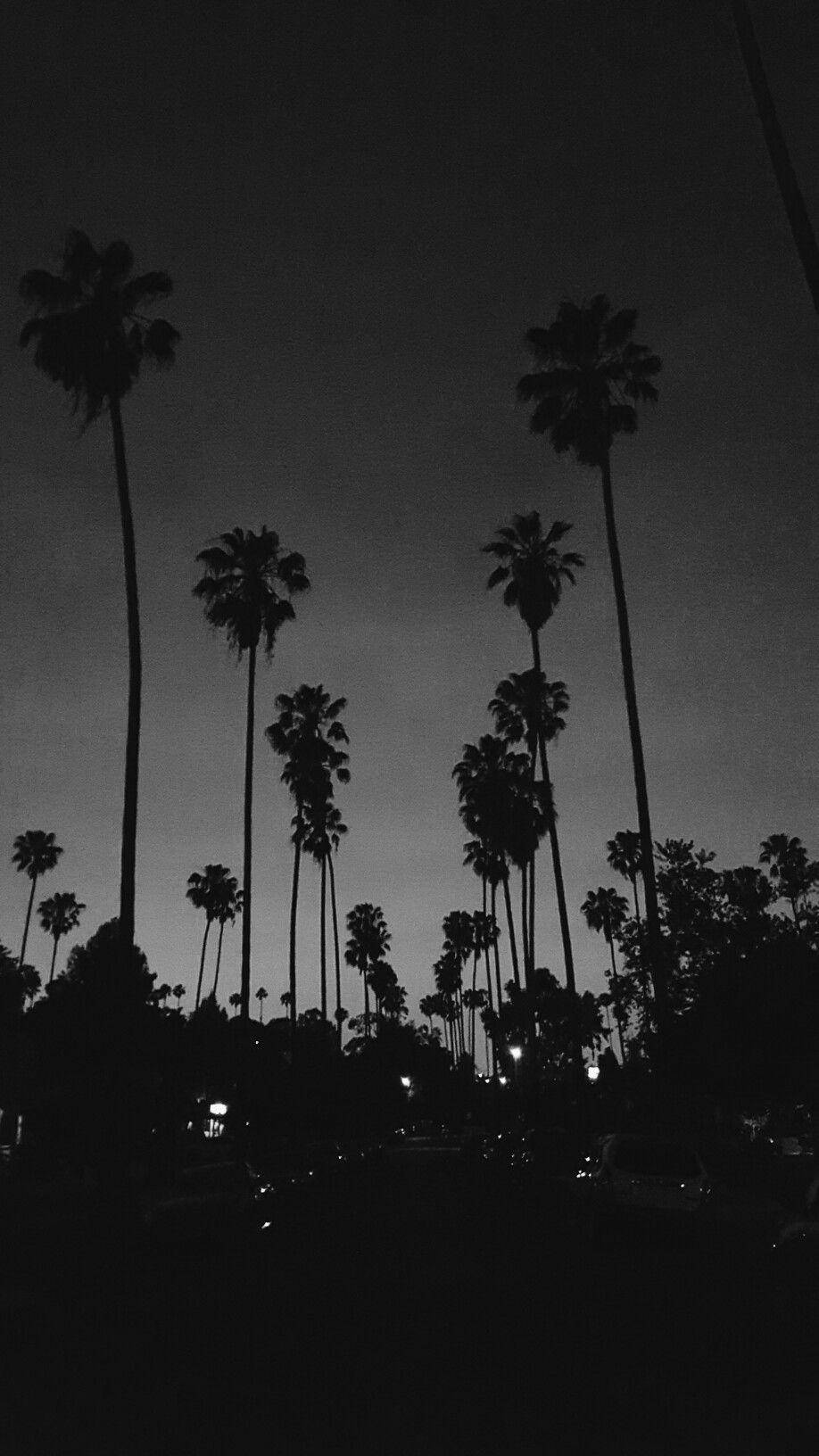 Black Aesthetic Phone, palm trees, twilight sky, HD Phone Wallpaper