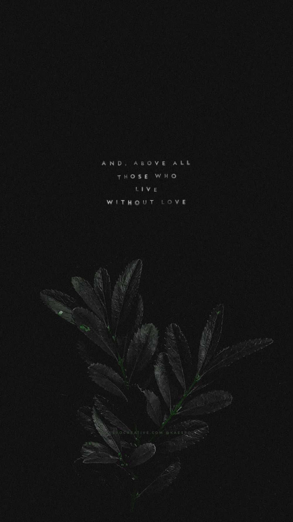 black background, white text, sprig of dark leaves, HD Phone Wallpaper