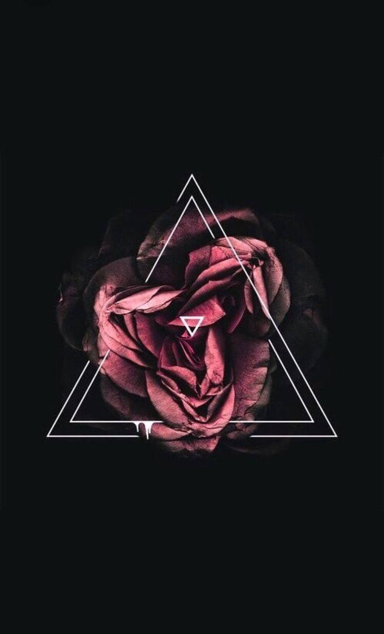 Black Aesthetic Rose, triangle, deep maroon rose, SD Phone Wallpaper