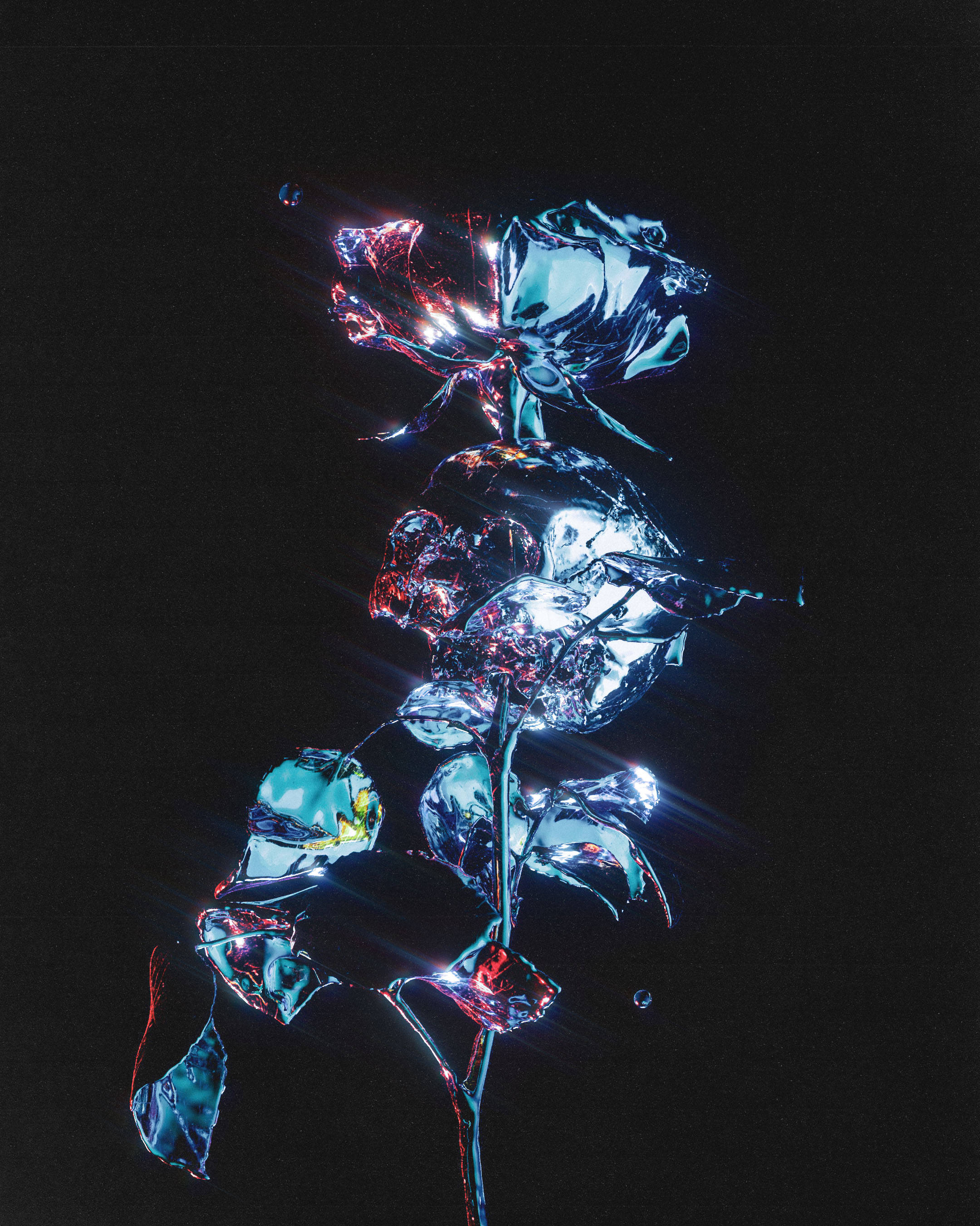 Black Aesthetic Rose, metallic, shattered glass petals, 2K Phone Wallpaper