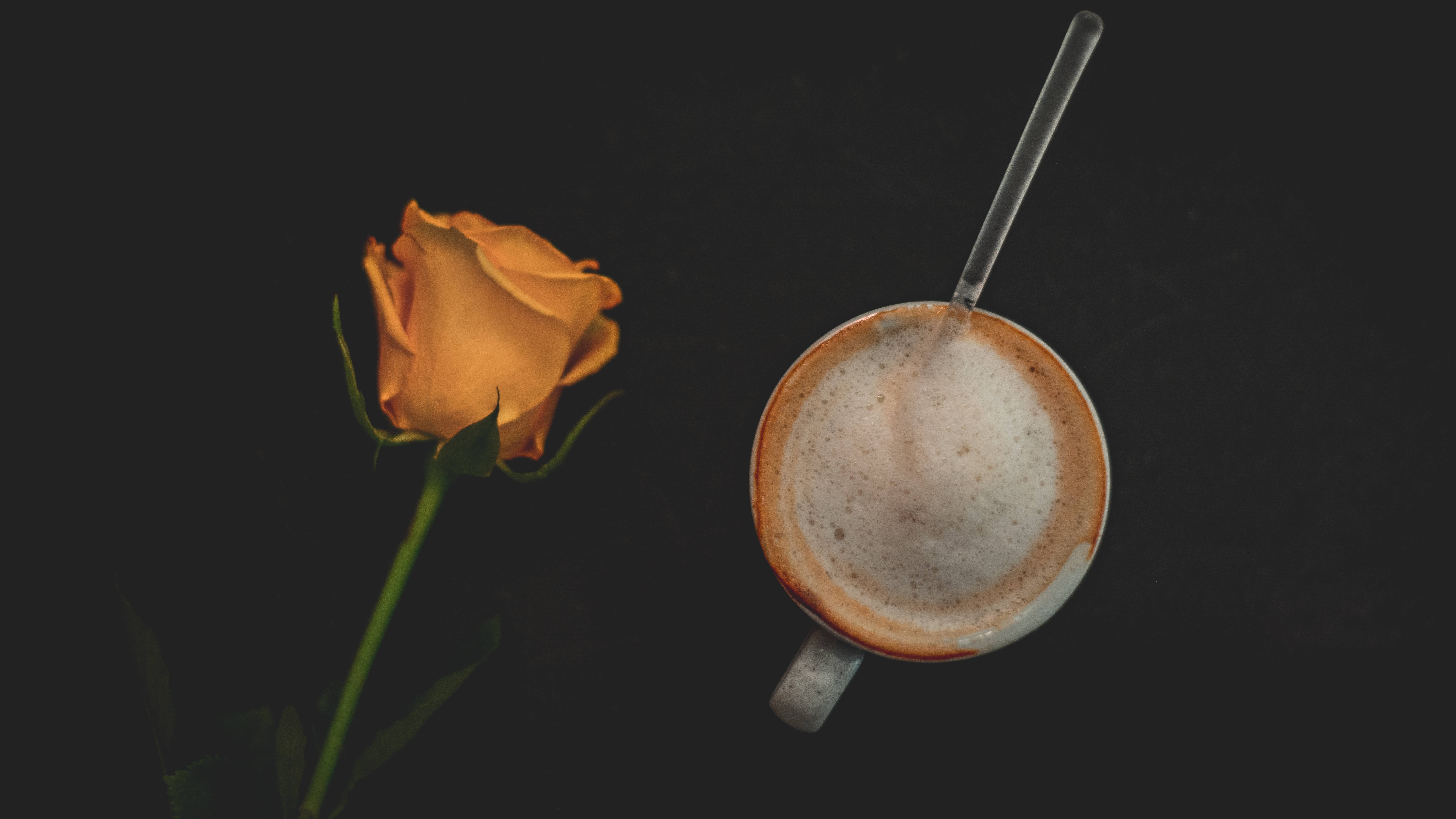 Black Aesthetic Rose, orange rose, frothy coffee cup, 5K Desktop Wallpaper