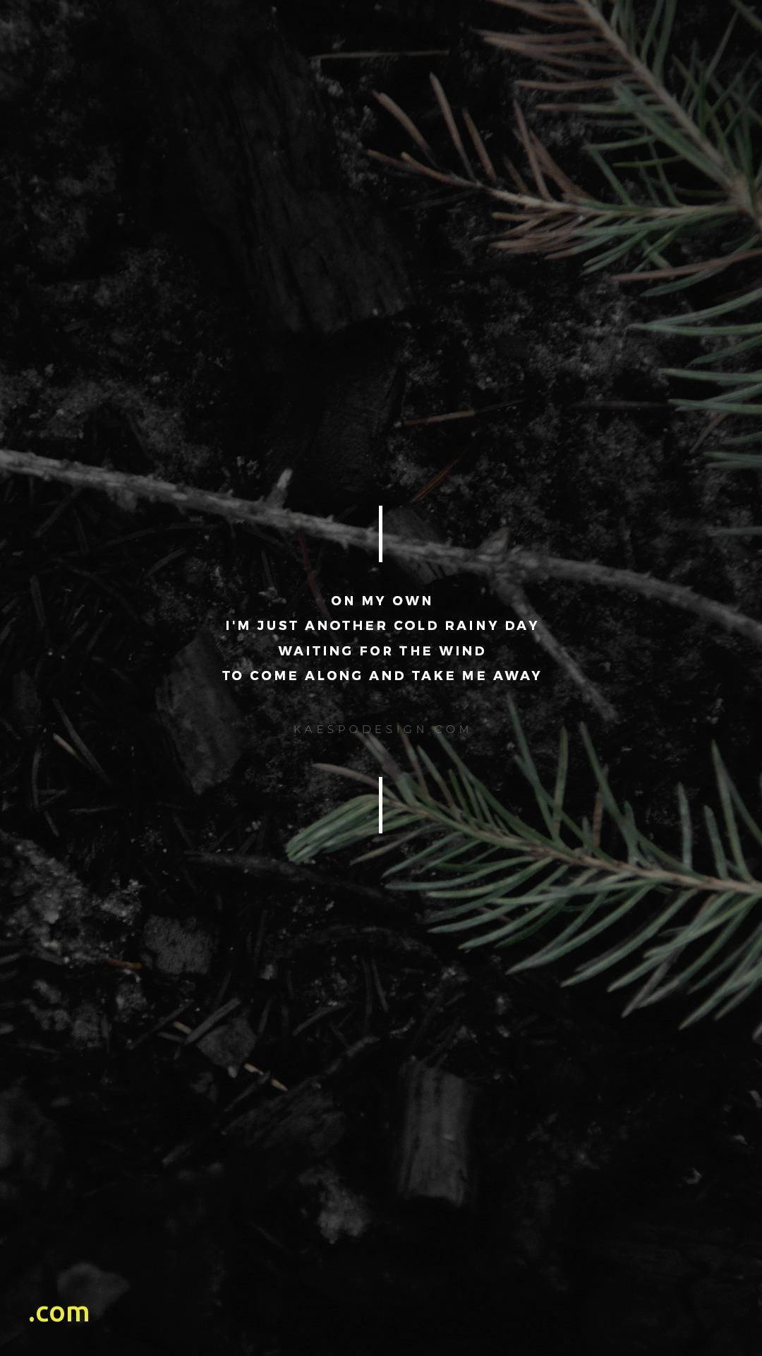 Black Aesthetic Tumblr iPhone, dark forest floor, pine needles, Full HD Phone Wallpaper
