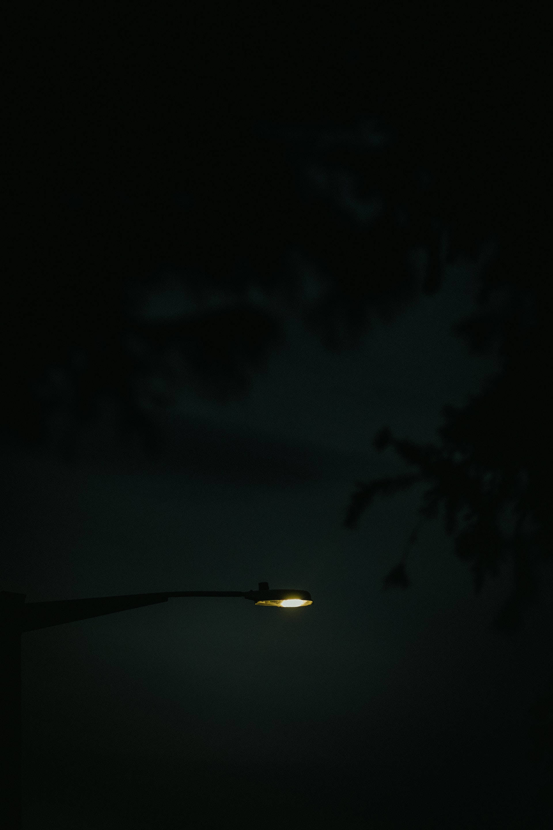 street light, warm yellow light, deep night sky, 2K Phone Wallpaper