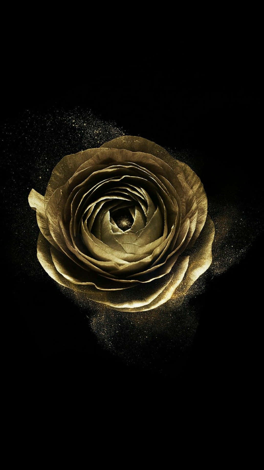 Black and Gold Aesthetic, golden rose, black void, Full HD Phone Wallpaper