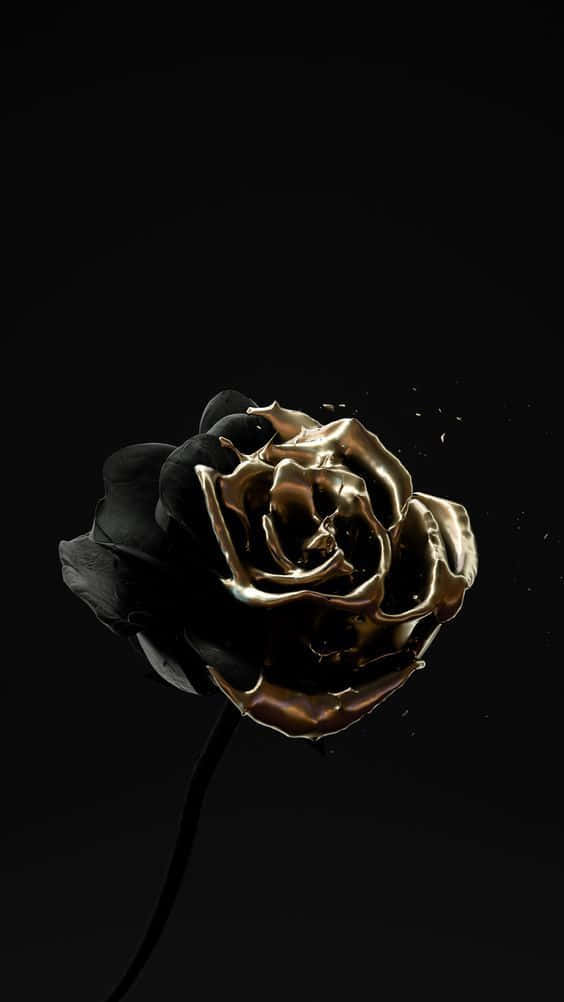 black rose, molten gold petals, pure black background, SD Phone Wallpaper