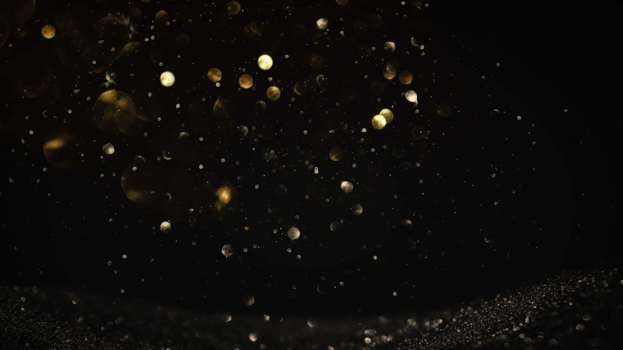 Black And Gold Glitter, golden bokeh lights, deep black background, 2K Desktop Wallpaper