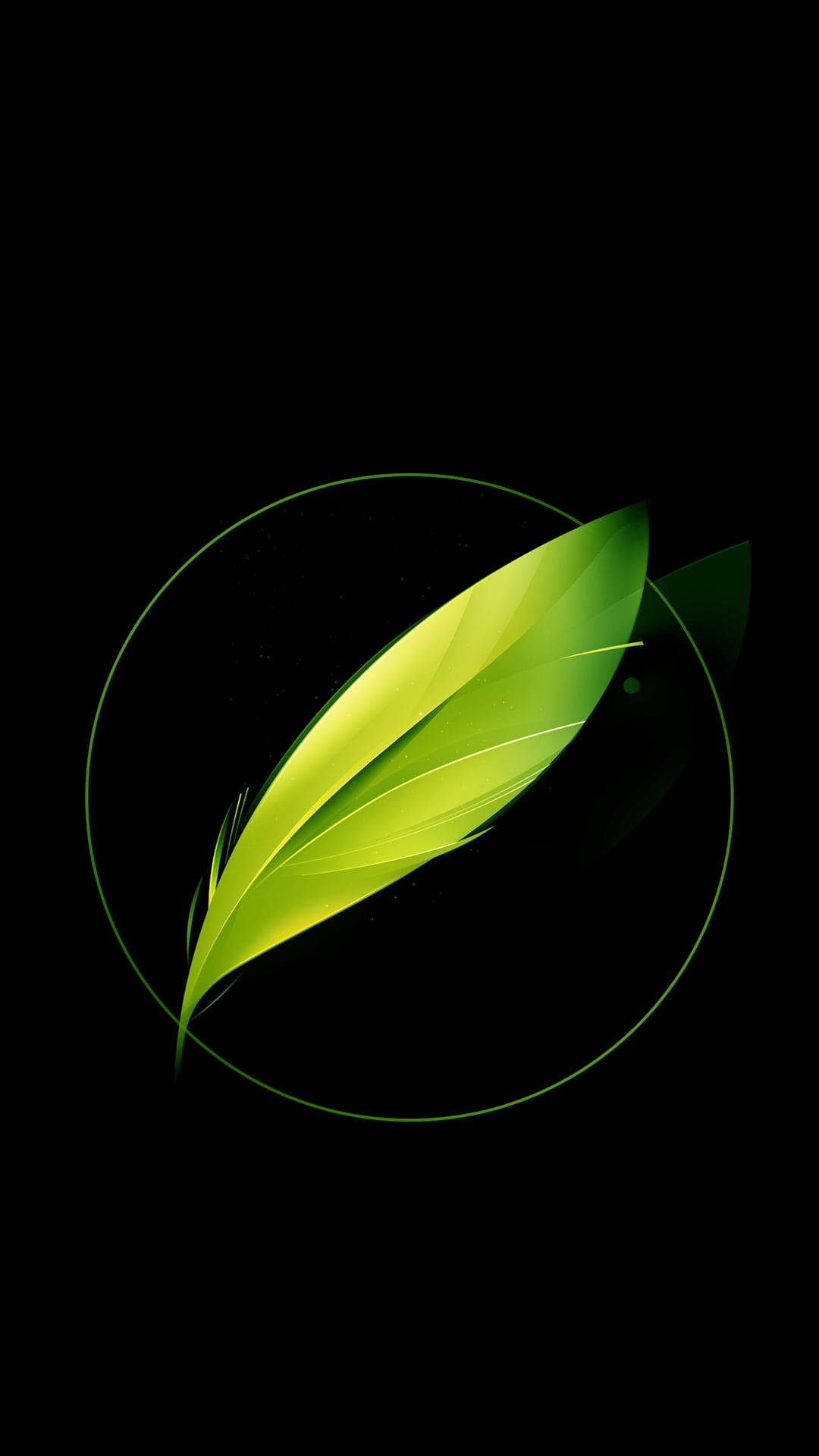 Black And Green Feather, glowing green leaf, subtle gradients, Full HD Phone Wallpaper
