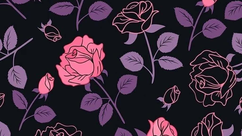 pink roses, black background, dark background, SD Desktop Wallpaper
