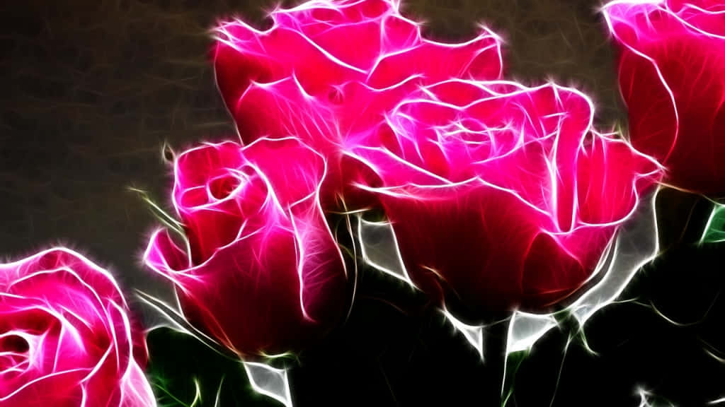 black background, vibrant pink roses, electric white outlines, SD Desktop Wallpaper