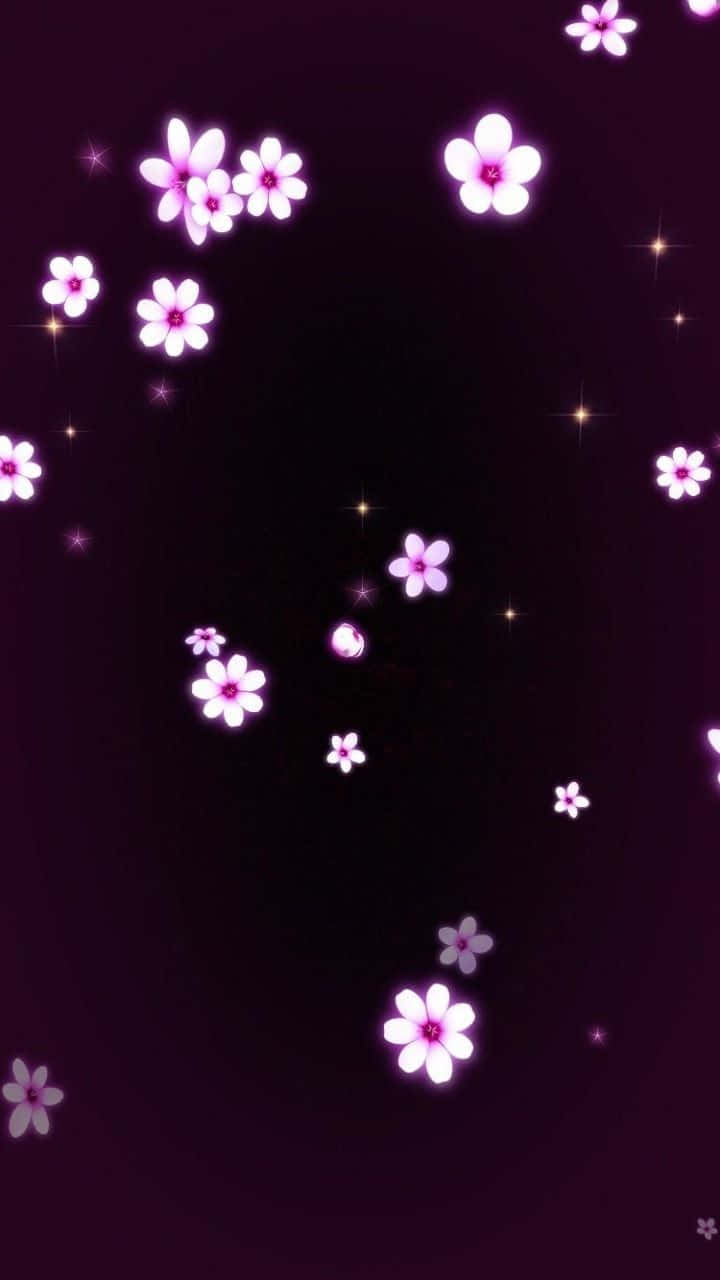 Black and Pink Floral Print, glowing pink flowers, deep purple night sky, HD Phone Wallpaper