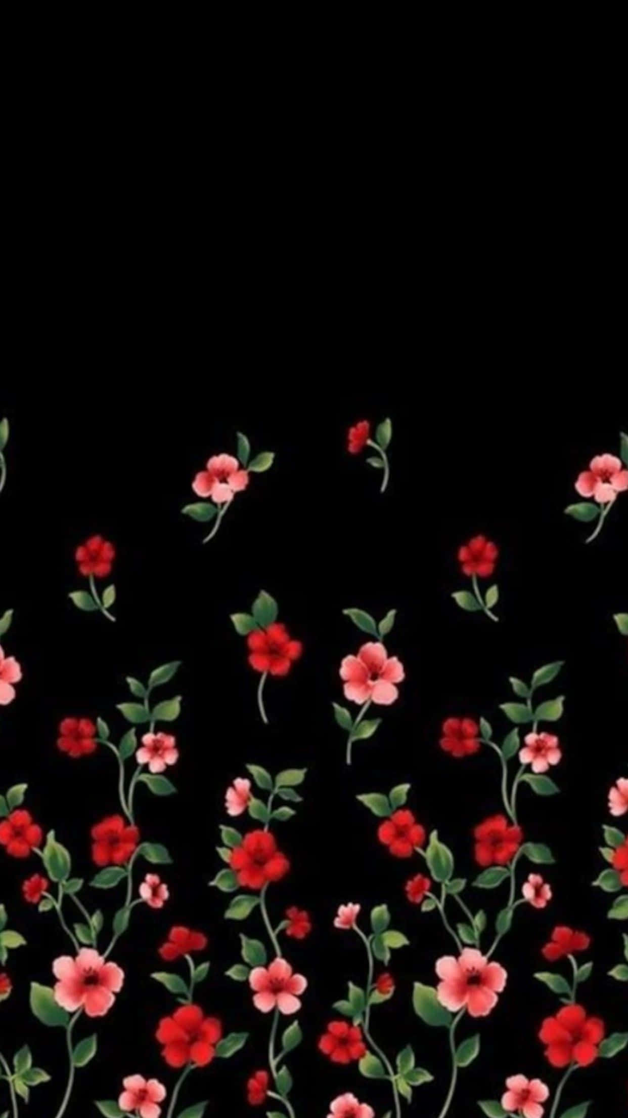 Black And Pink Floral, vibrant red and pink flowers, green stems, Full HD Phone Wallpaper