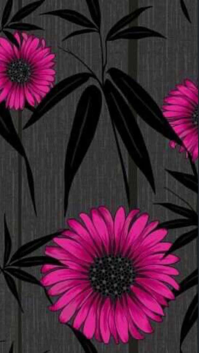 black and pink florals, vibrant pink flowers, black bamboo leaves, SD Phone Wallpaper