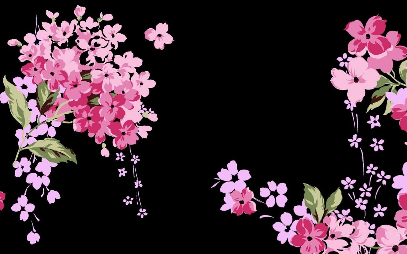 black background, pink cherry blossoms, green leaves, HD Desktop Wallpaper