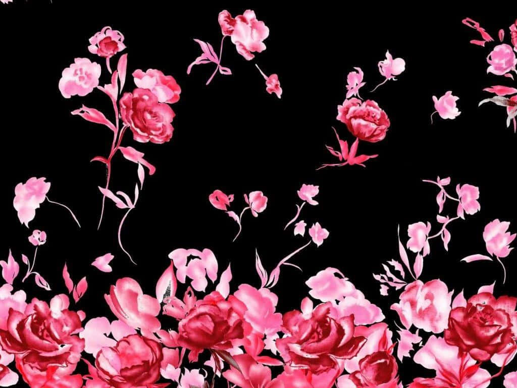 black and pink floral, vibrant pink peonies, roses, SD Desktop Wallpaper