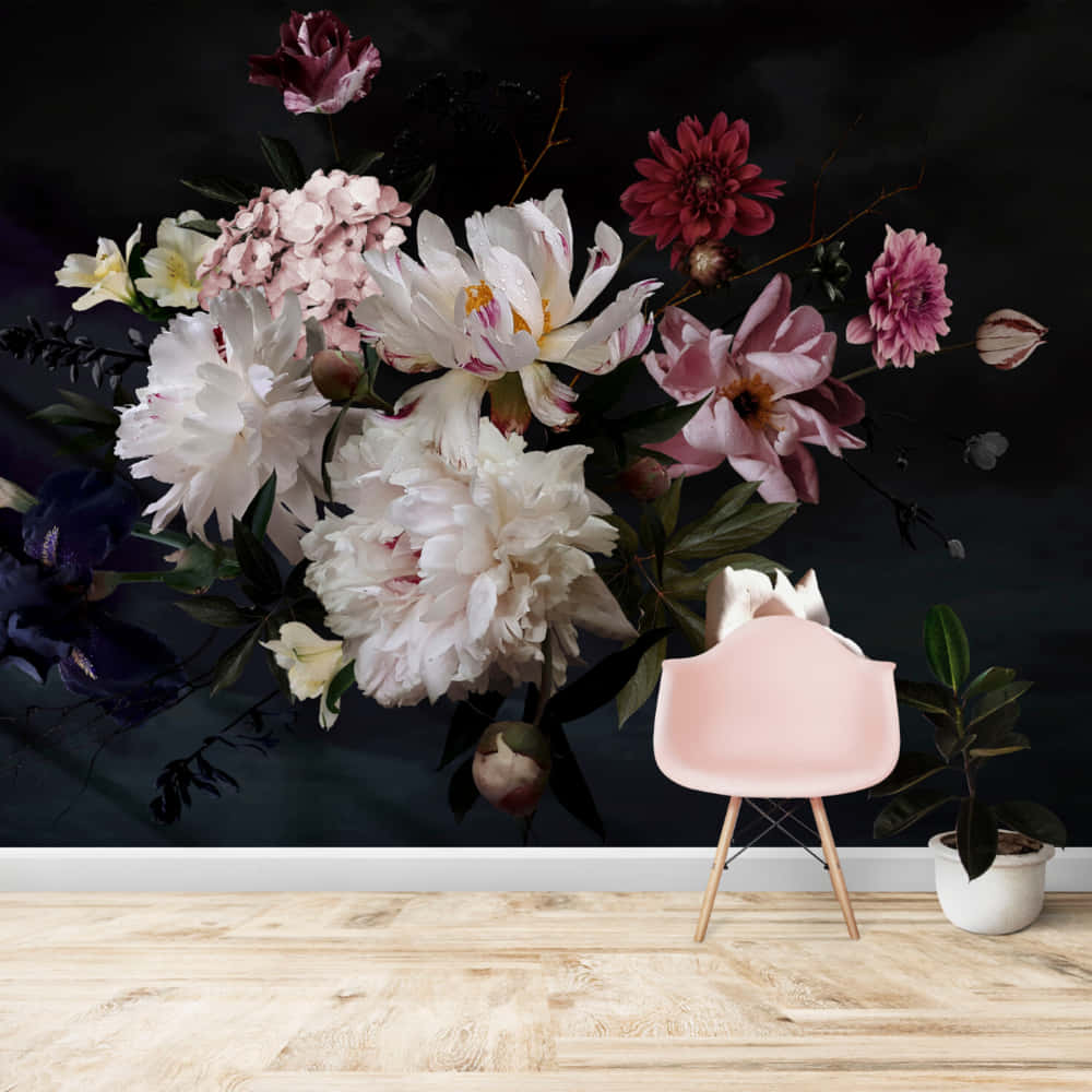 Black And Pink Flower, white pink, deep red blooms, SD Desktop Wallpaper