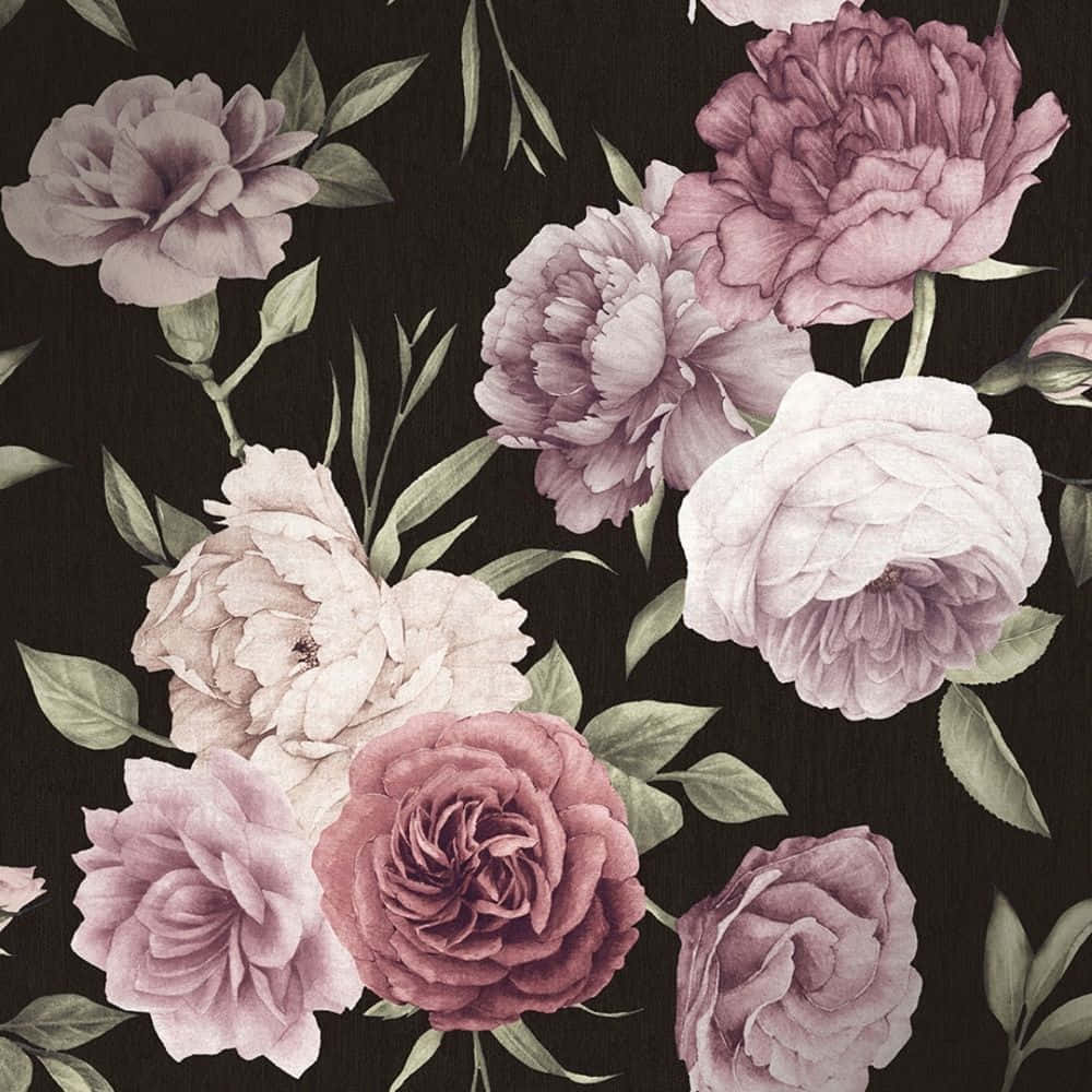 Black And Pink Flower, peonies, roses, SD Desktop Wallpaper