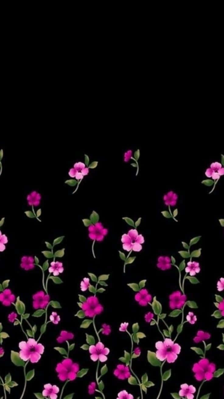 Black And Pink Flower, vibrant pink flowers, green leaves, HD Phone Wallpaper