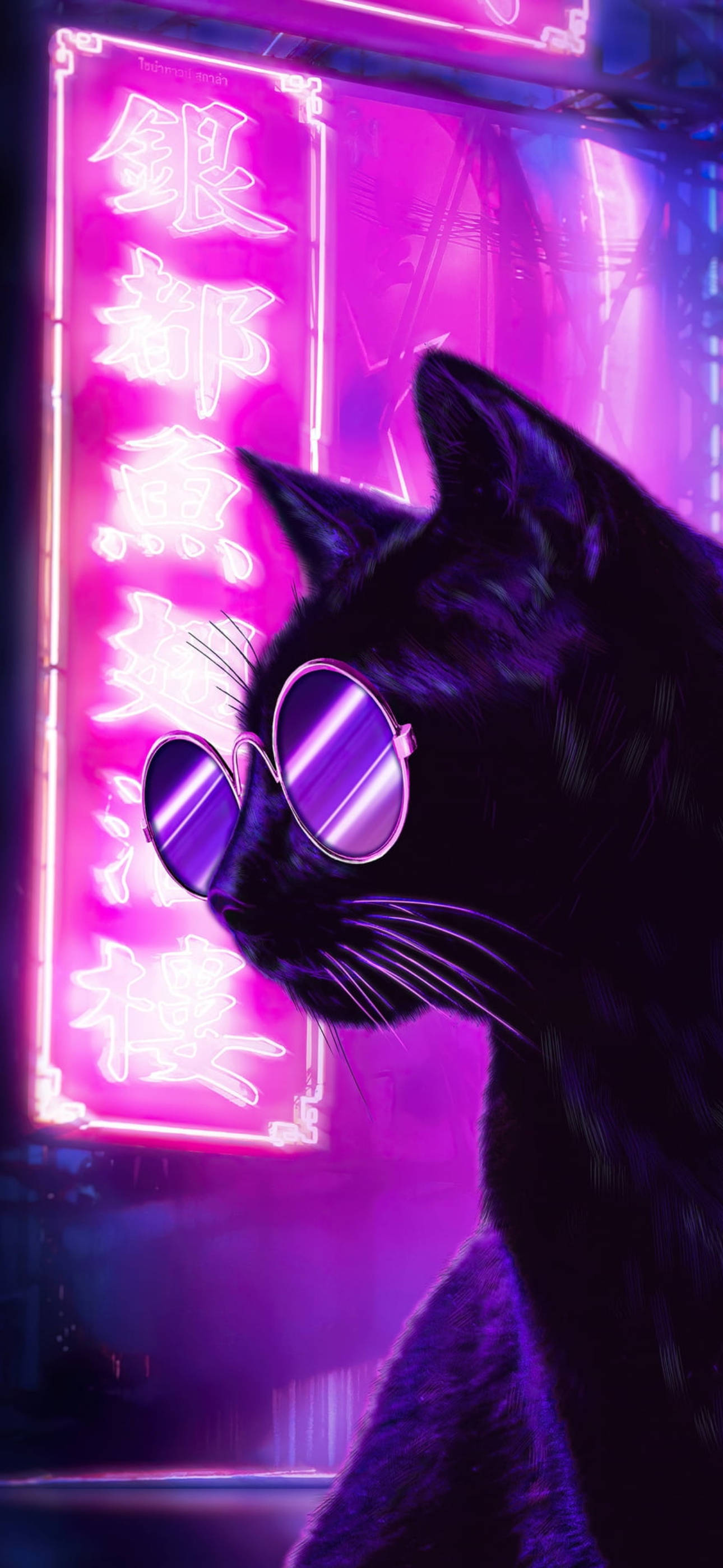 Black And Purple Aesthetic, cool cat, sleek black cat, 2K Phone Wallpaper