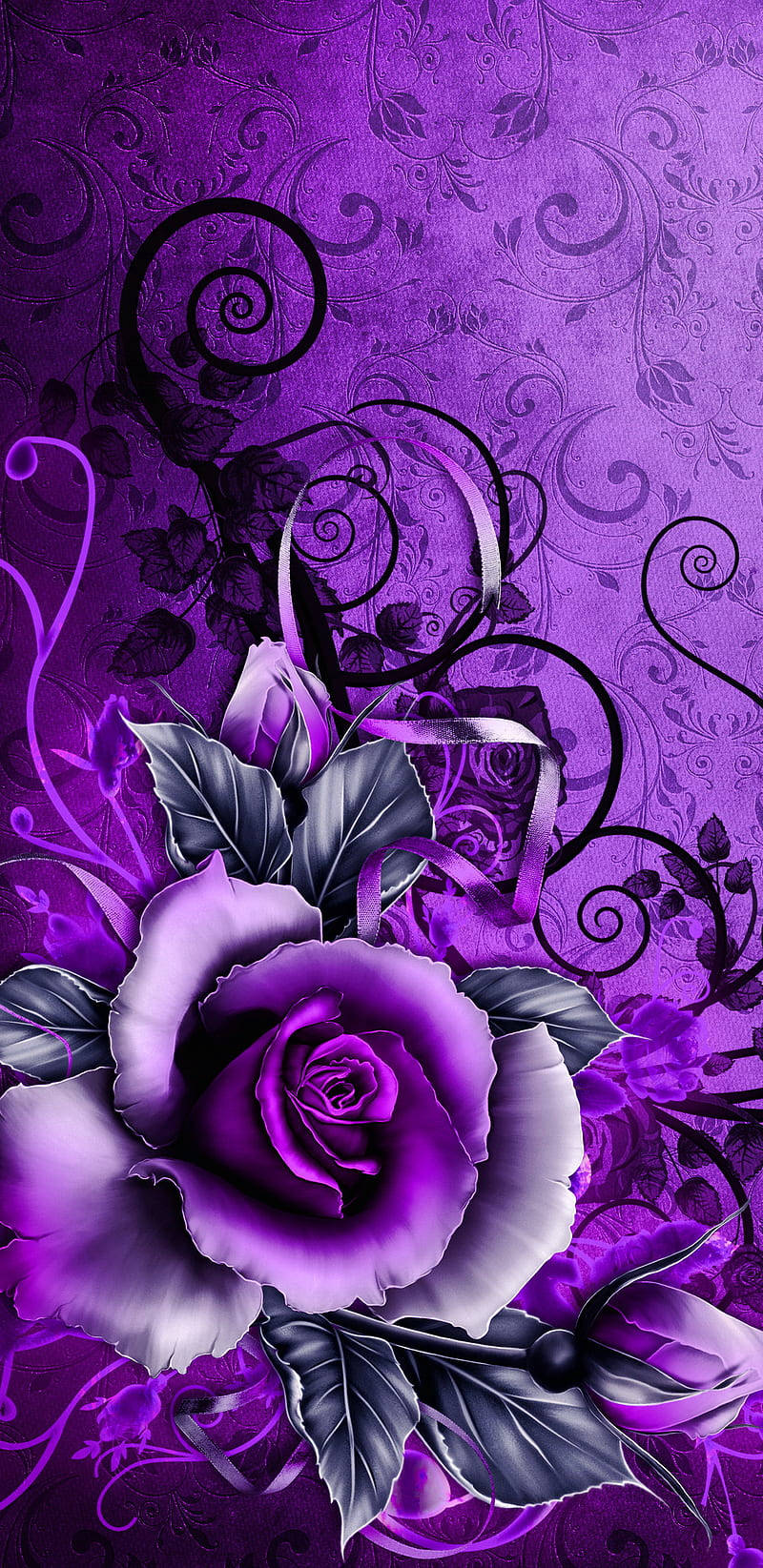 Black And Purple Aesthetic, purple rose, dark leaves, HD Phone Wallpaper