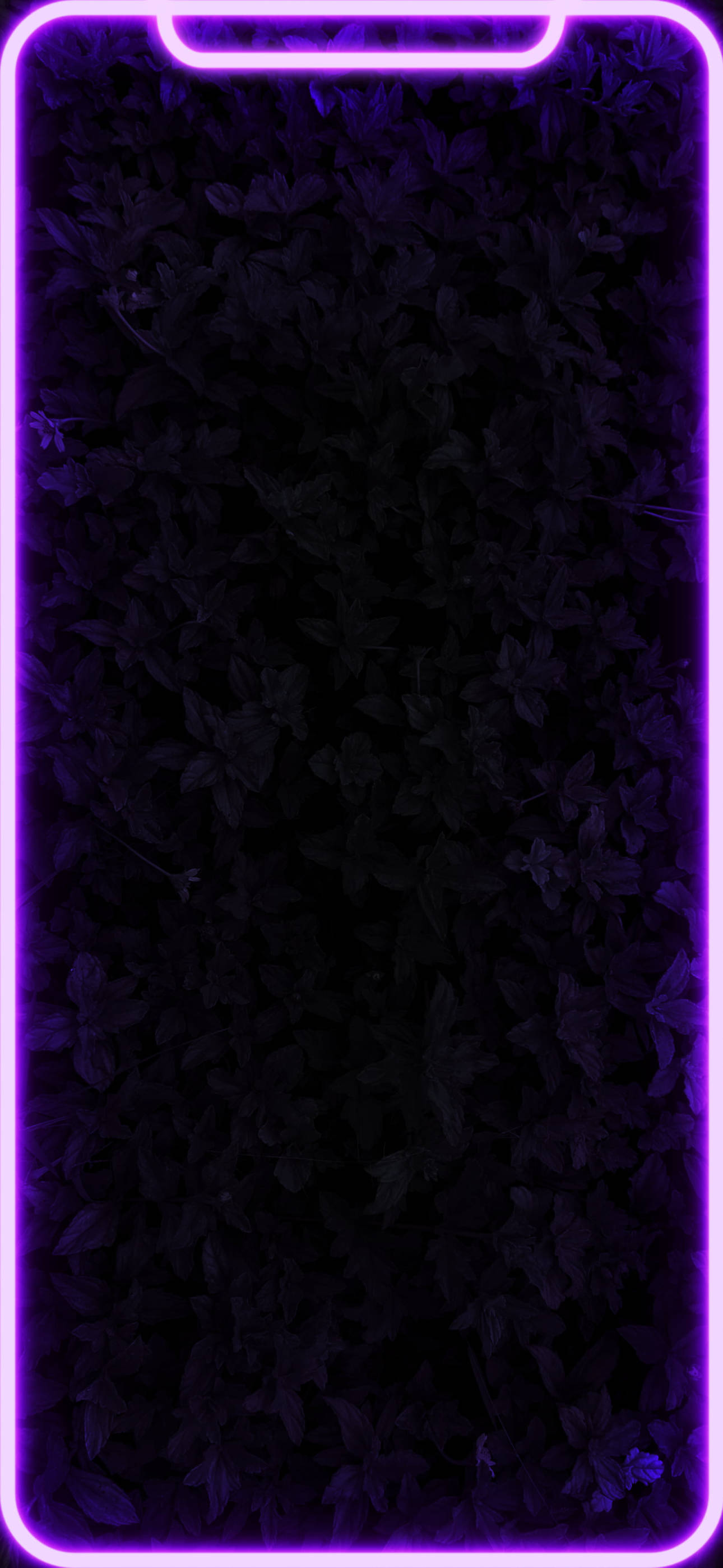 glowing purple neon, dark leafy foliage, phone screen, 2K Phone Wallpaper