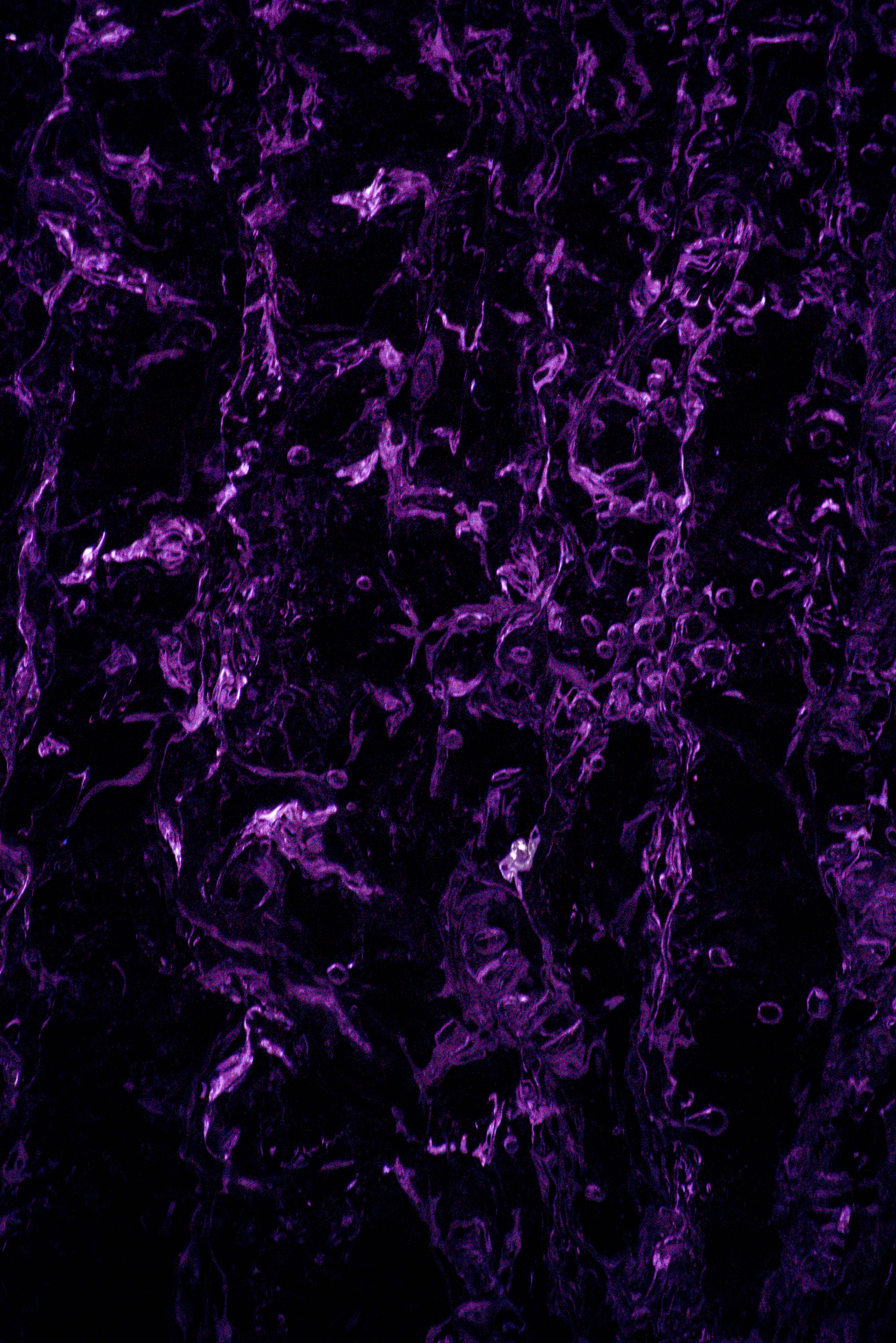 purple aesthetic phone, dark, vibrant purple liquid swirls, 5K Phone Wallpaper