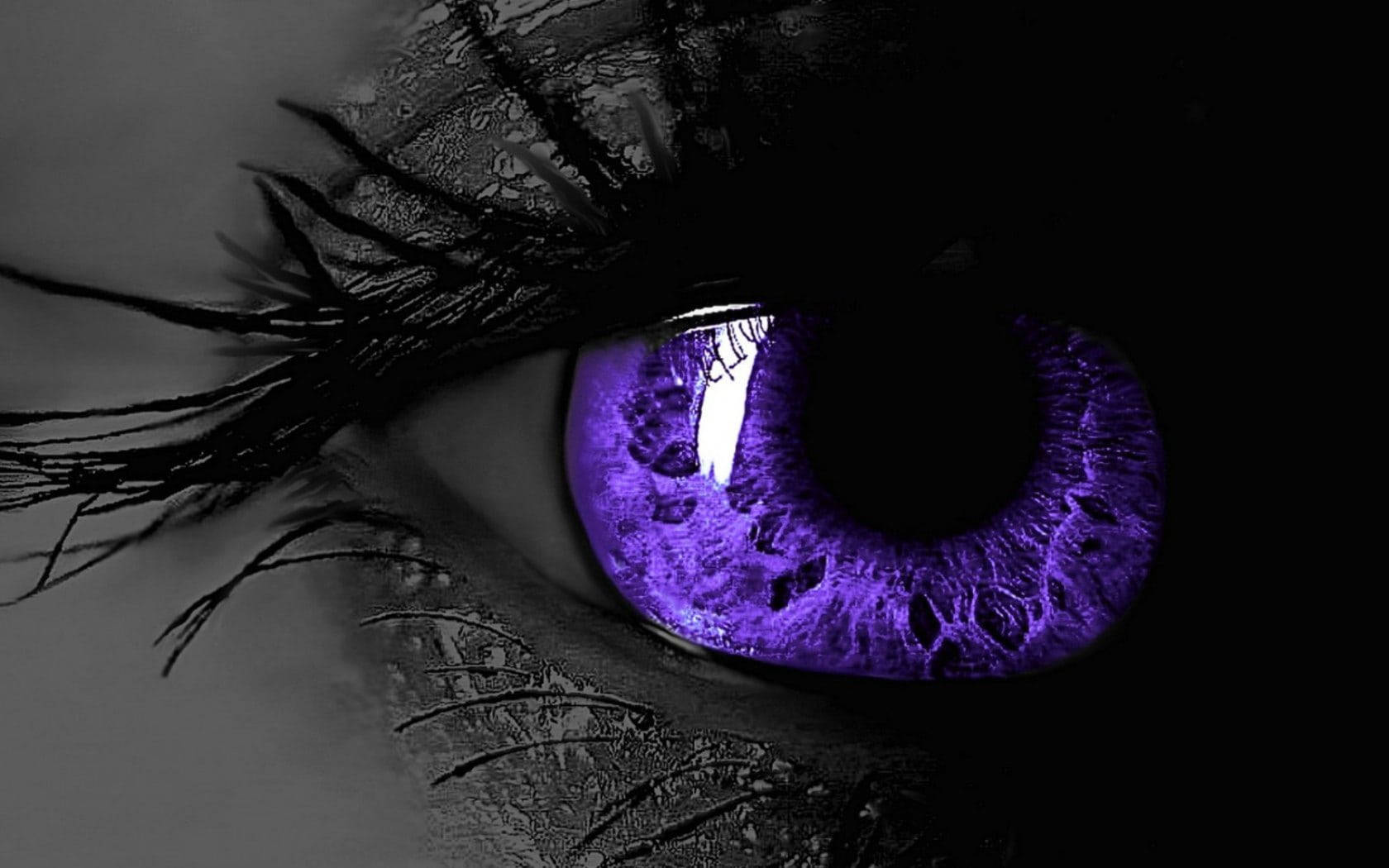 Black and Purple Eye Art, vivid purple iris, dramatic black eyelashes, HD Desktop Wallpaper