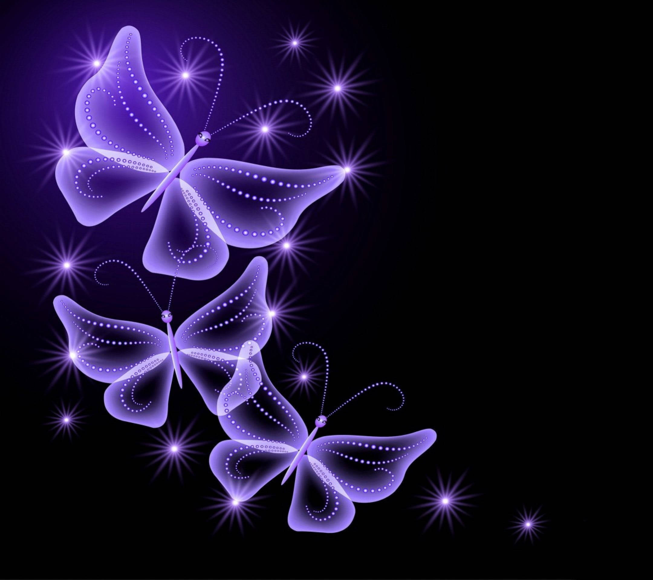 Black And Purple Butterflies, glowing purple butterflies, dotted wings, Full HD Desktop Wallpaper