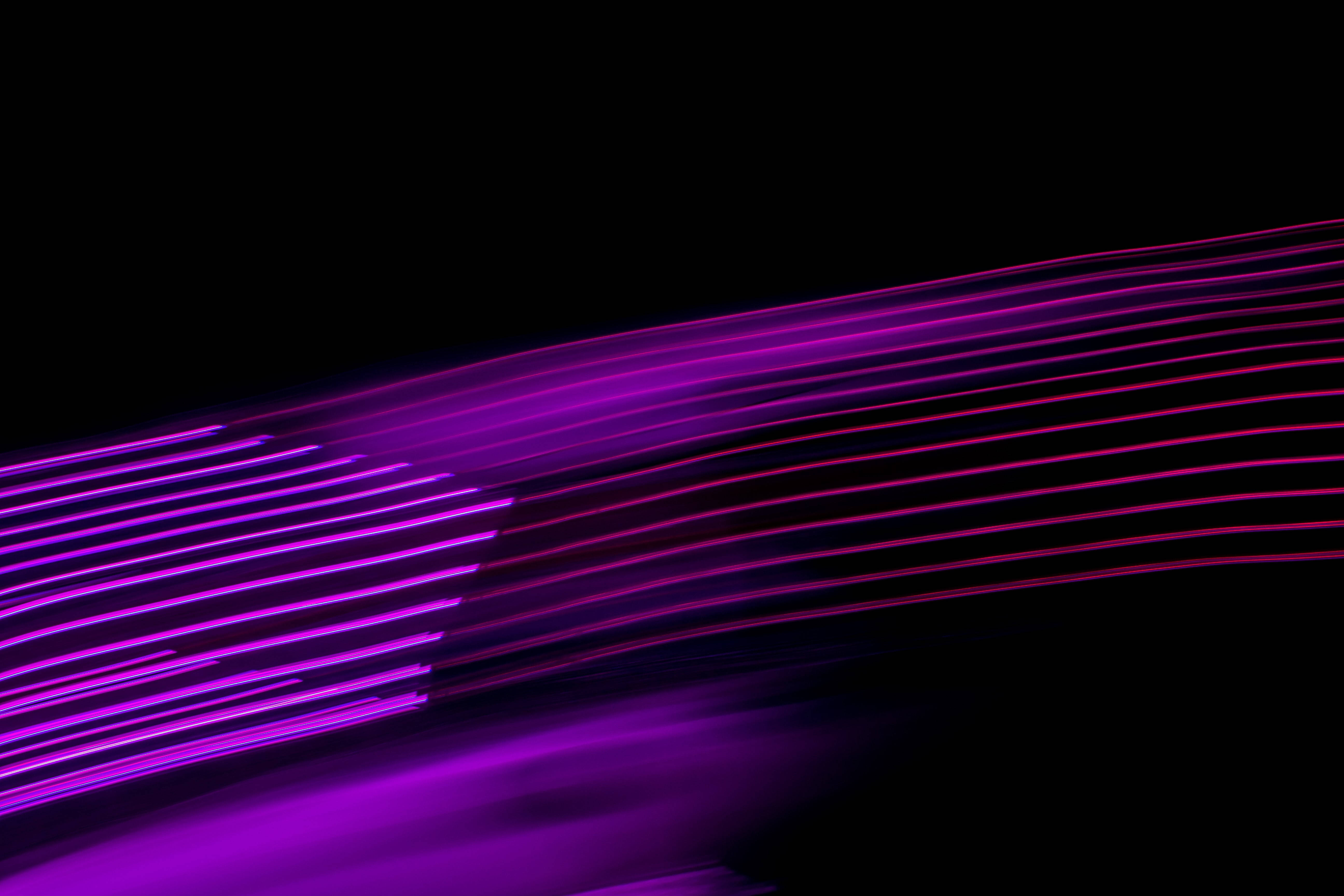 Black and Purple Light Streaks, vibrant purple, deep black, 5K Desktop Wallpaper