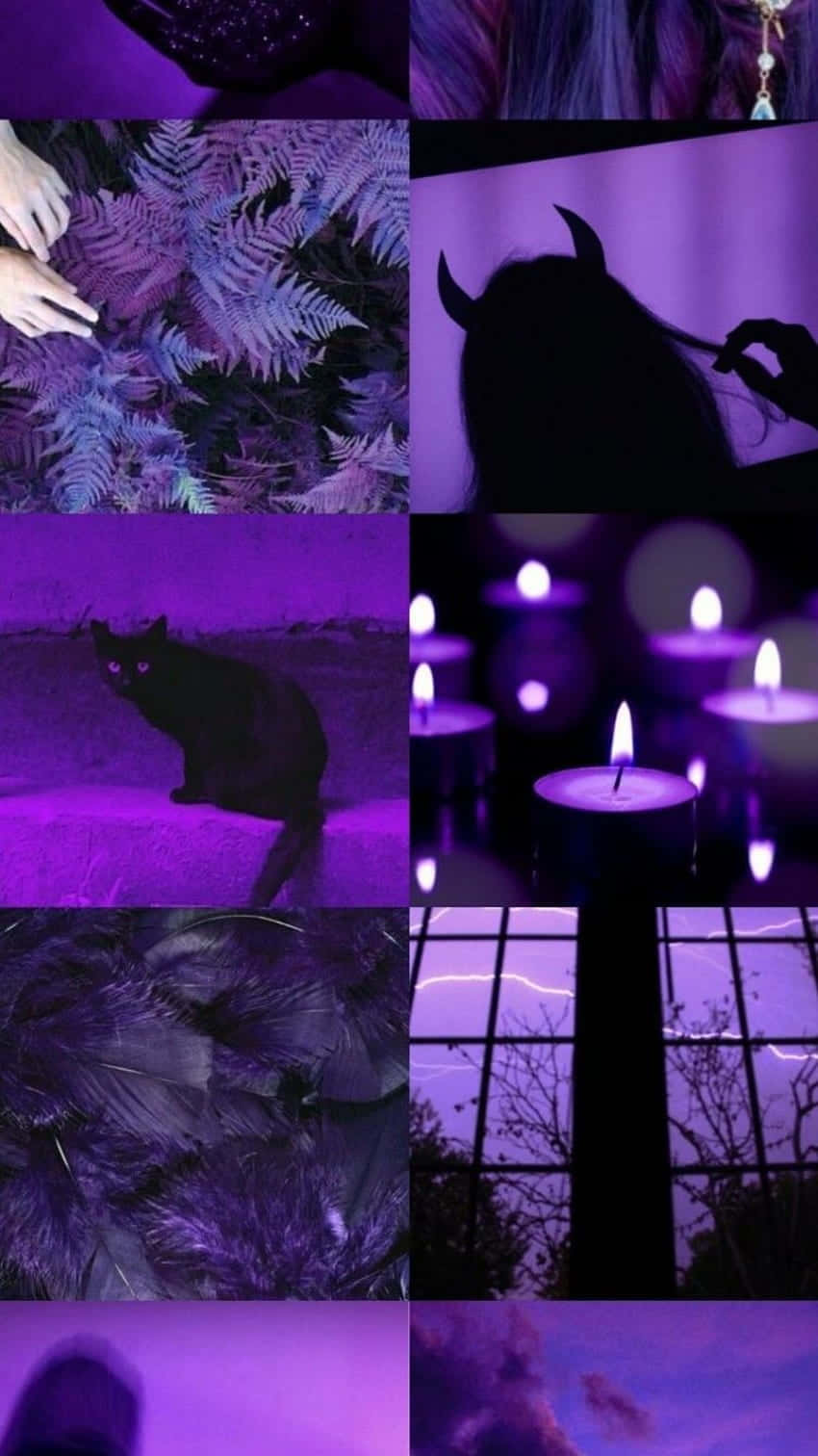 purple collage, ferns, candles, HD Phone Wallpaper