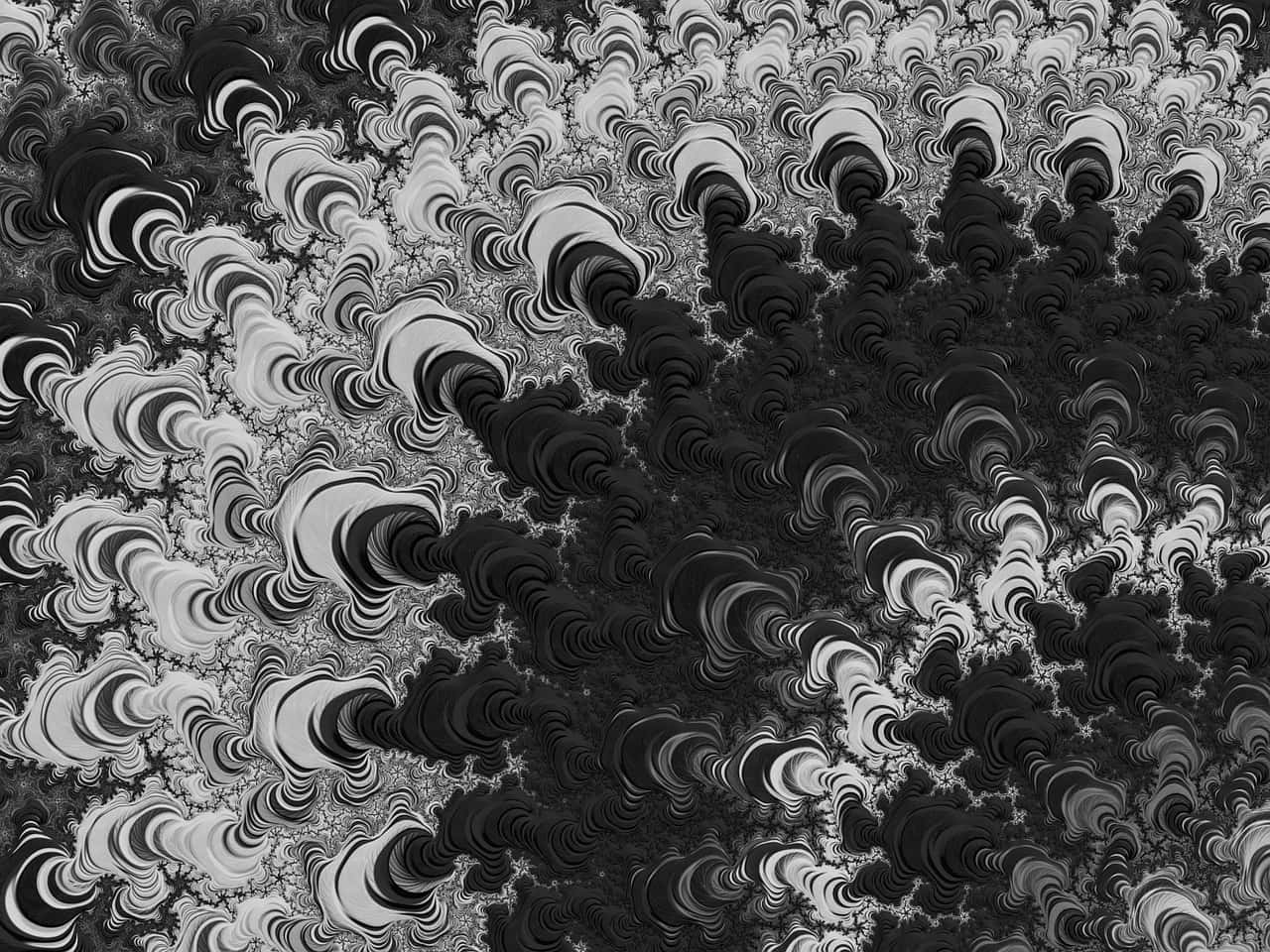 black and white abstract art, fractal pattern, swirling organic shapes, HD Desktop Wallpaper