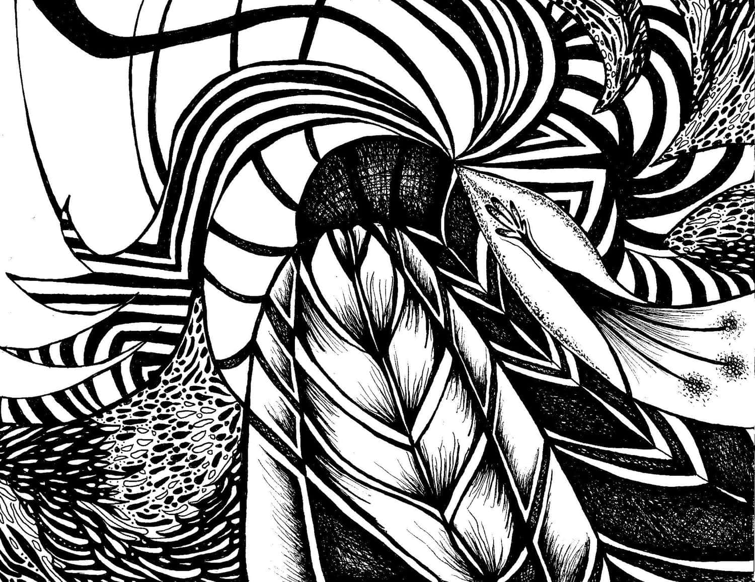 black and white abstract art, swirling lines, textured organic shapes, HD Desktop Wallpaper