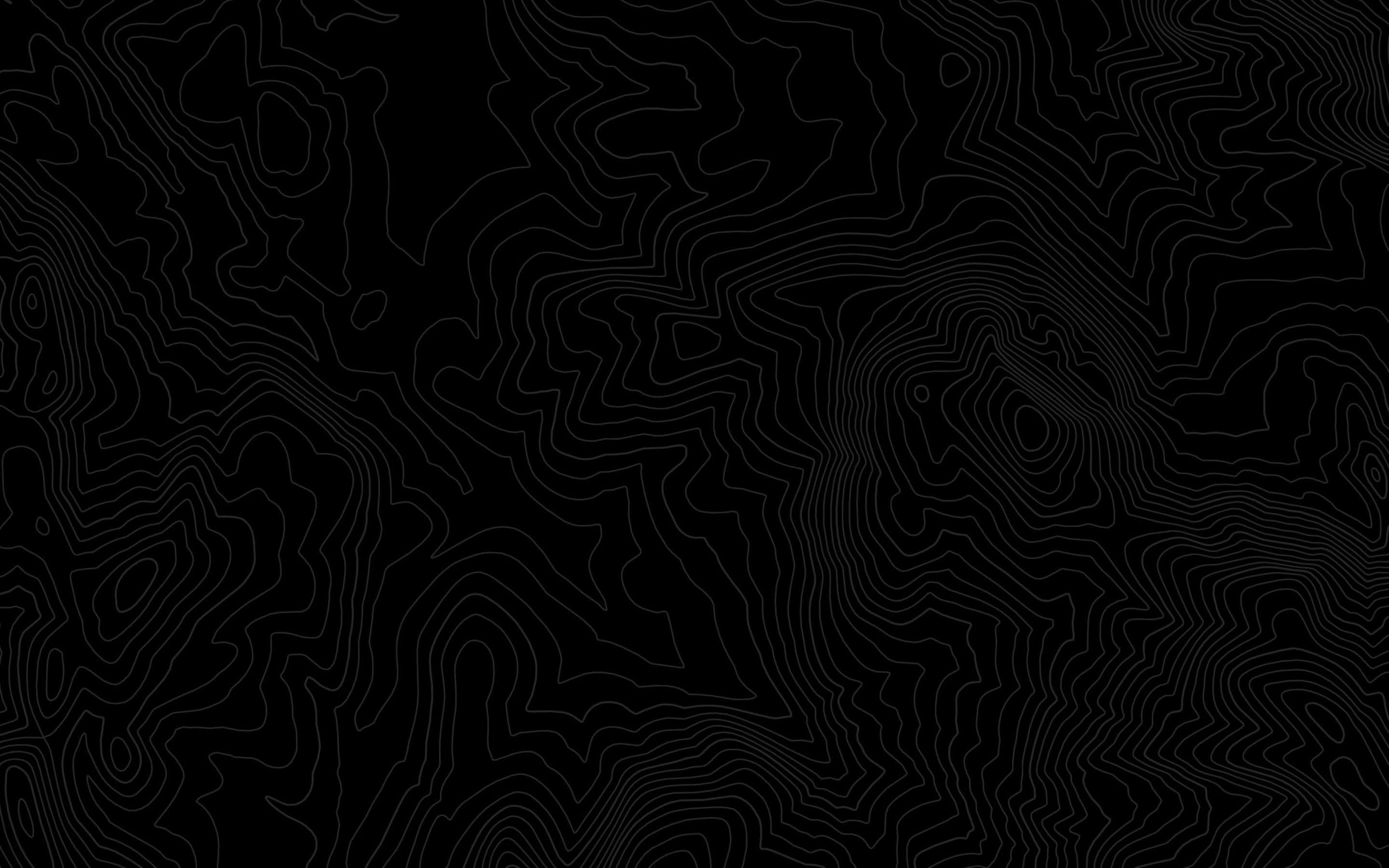 black and white abstract, minimalist black background, intricate white contour lines, 2K Desktop Wallpaper