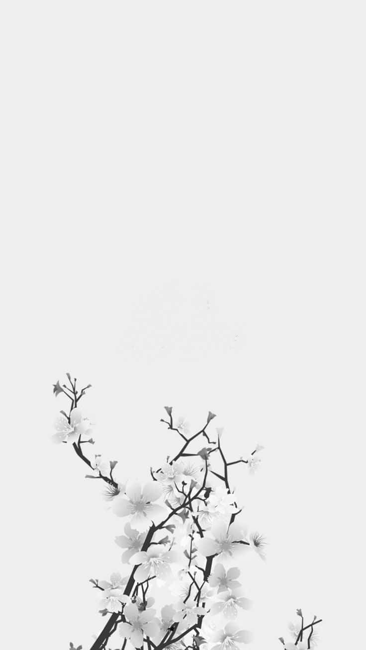 black and white aesthetic flower, minimalist, delicate cherry blossom branches, HD Phone Wallpaper