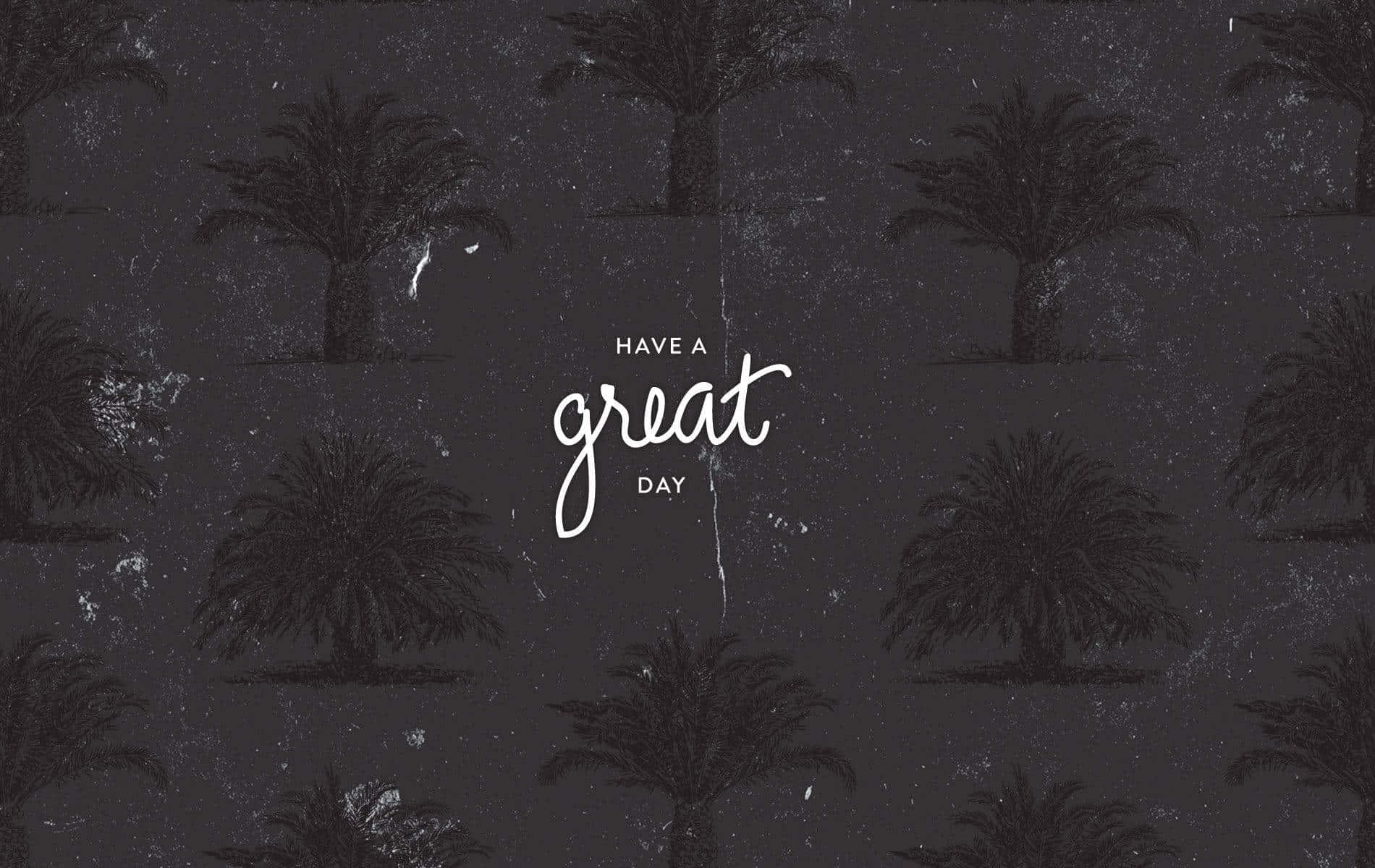 Black And White Aesthetic Pc, palm tree silhouettes, white cursive text, HD Desktop Wallpaper