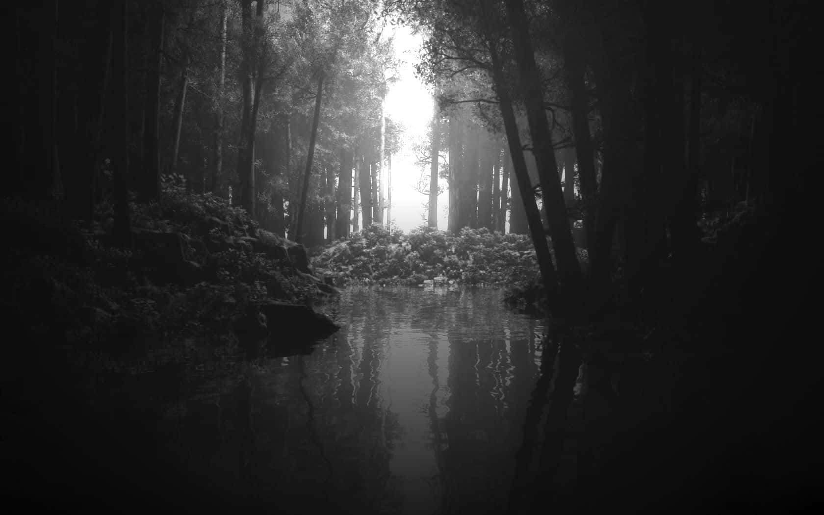 Black And White Aesthetic Pc, forest, calm stream, HD Desktop Wallpaper