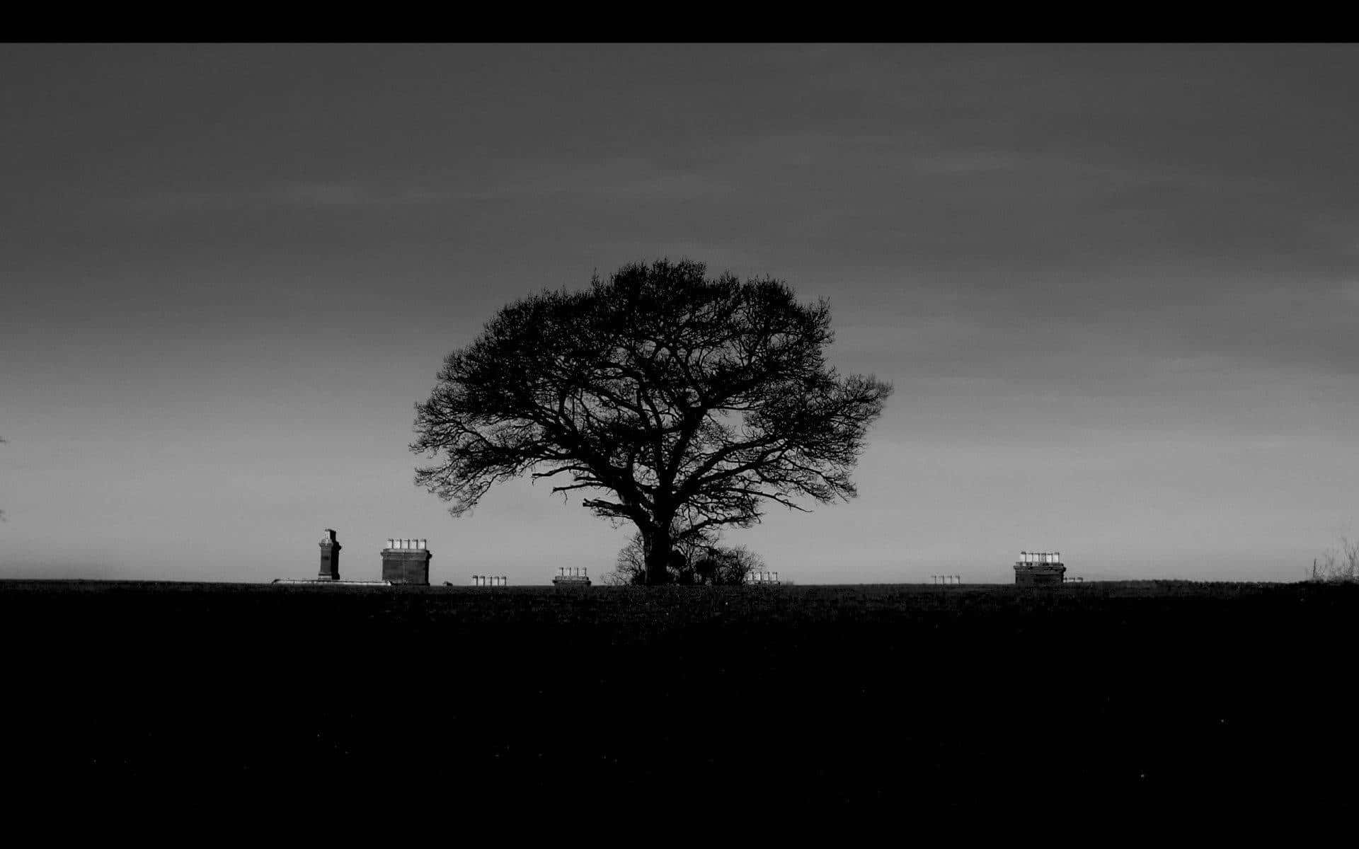 Black And White Aesthetic Pc, leafless tree, stark silhouette, Full HD Desktop Wallpaper