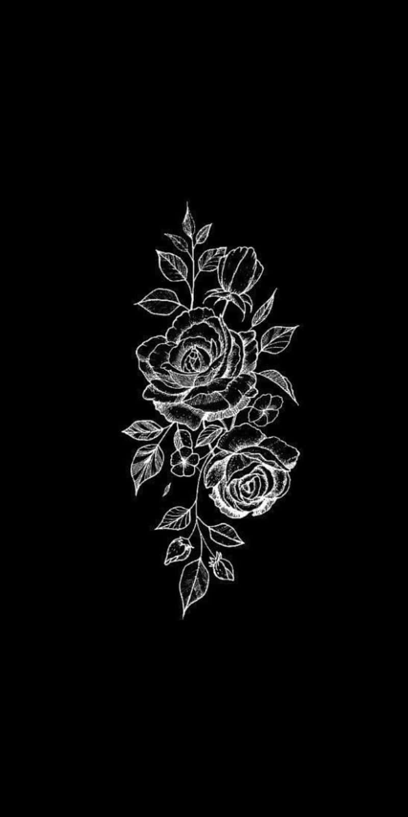 white line drawing, roses, leaves, HD Phone Wallpaper
