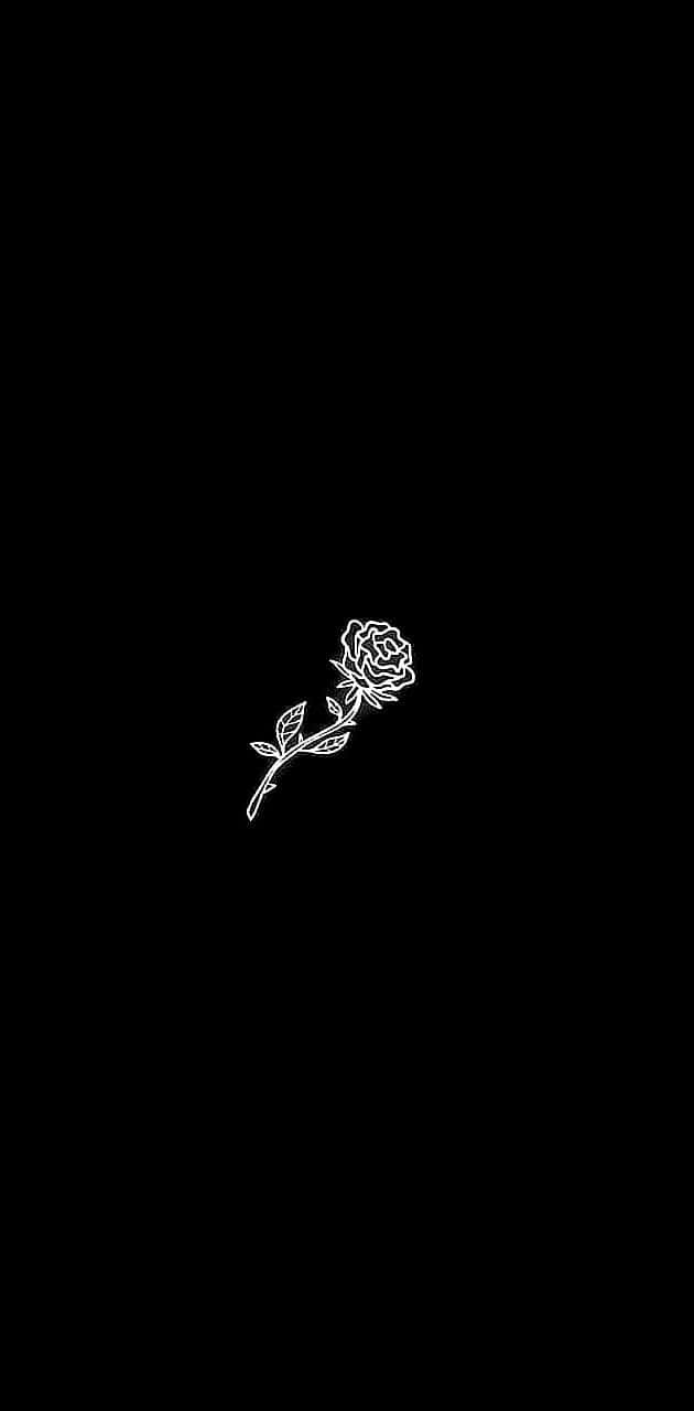 White Neon, rose, stem, HD Phone Wallpaper