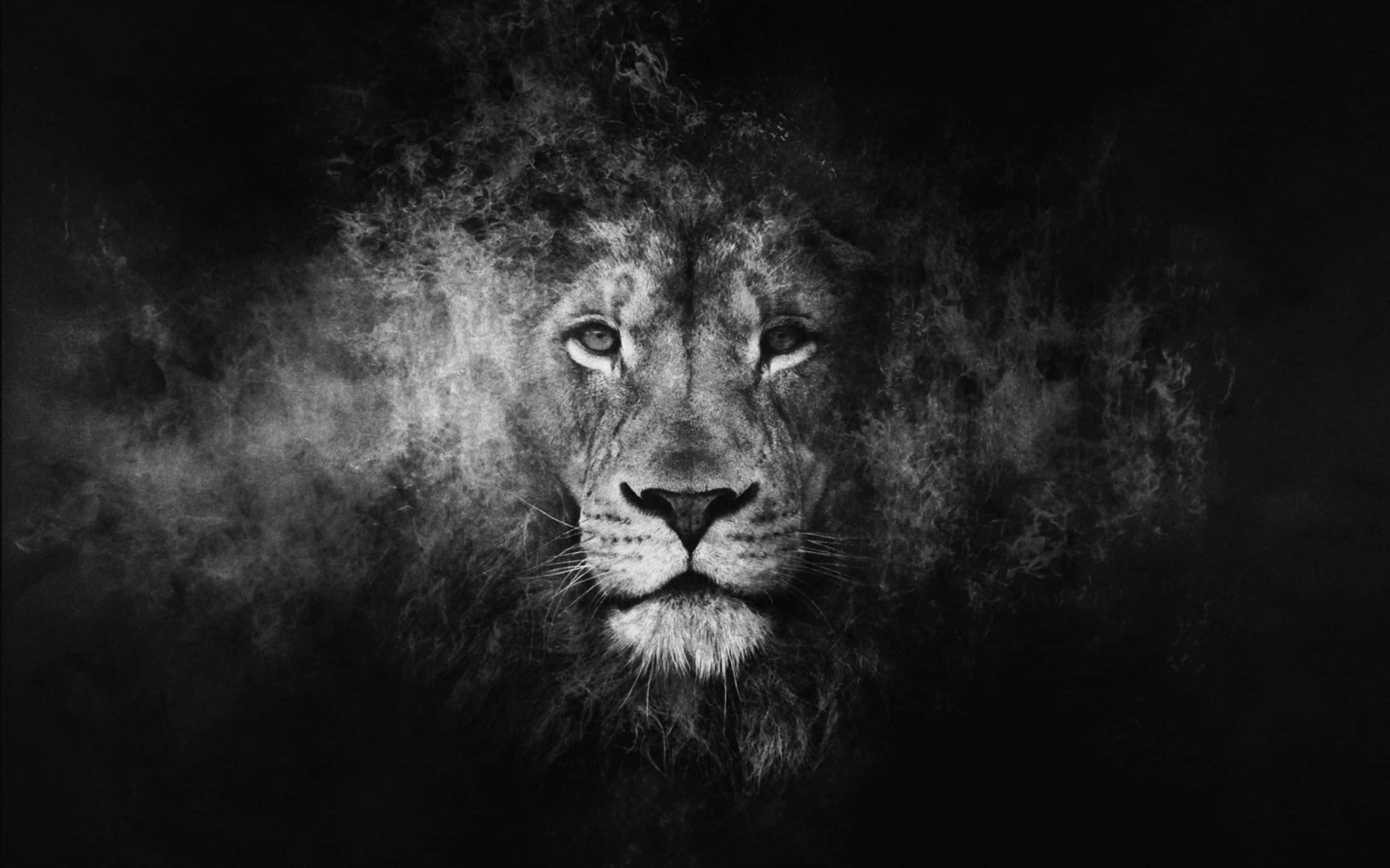 lion, swirling smoke, dramatic black and white portrait, 2K Desktop Wallpaper