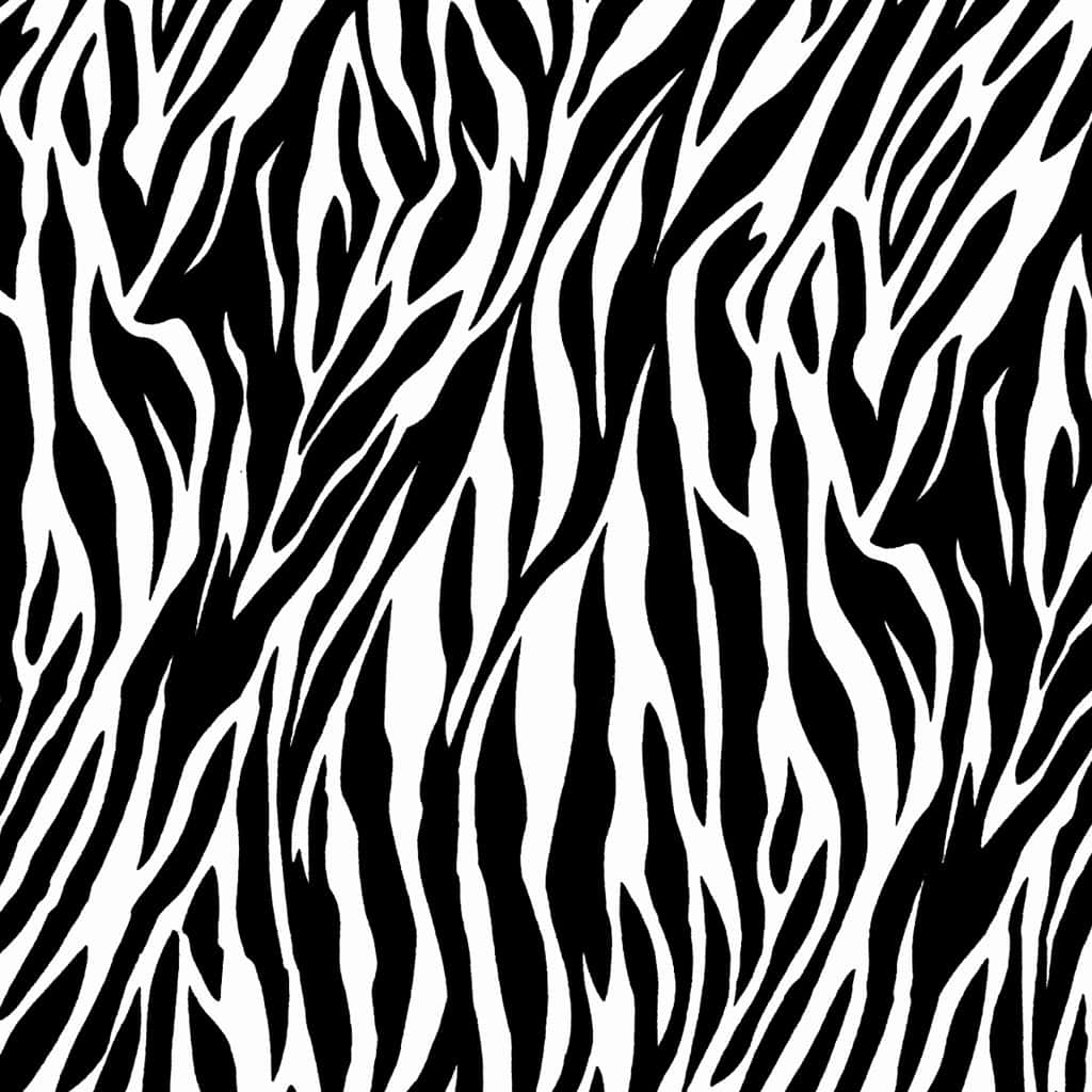 zebra print pattern, black and white zebra stripe pattern, seamless repeating design, SD Desktop Wallpaper