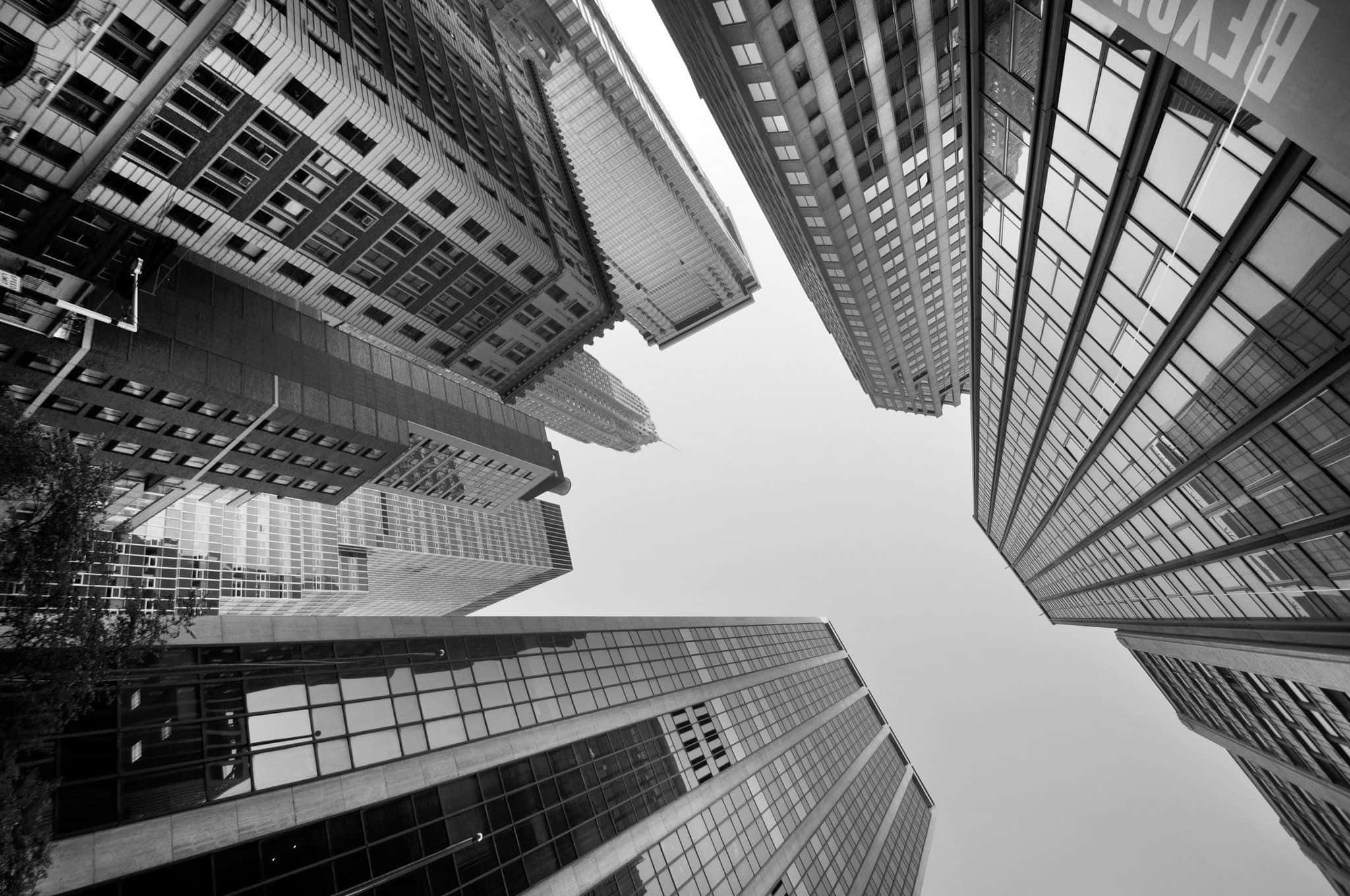black and white architecture, low-angle shot, towering glass skyscrapers, Full HD Desktop Wallpaper