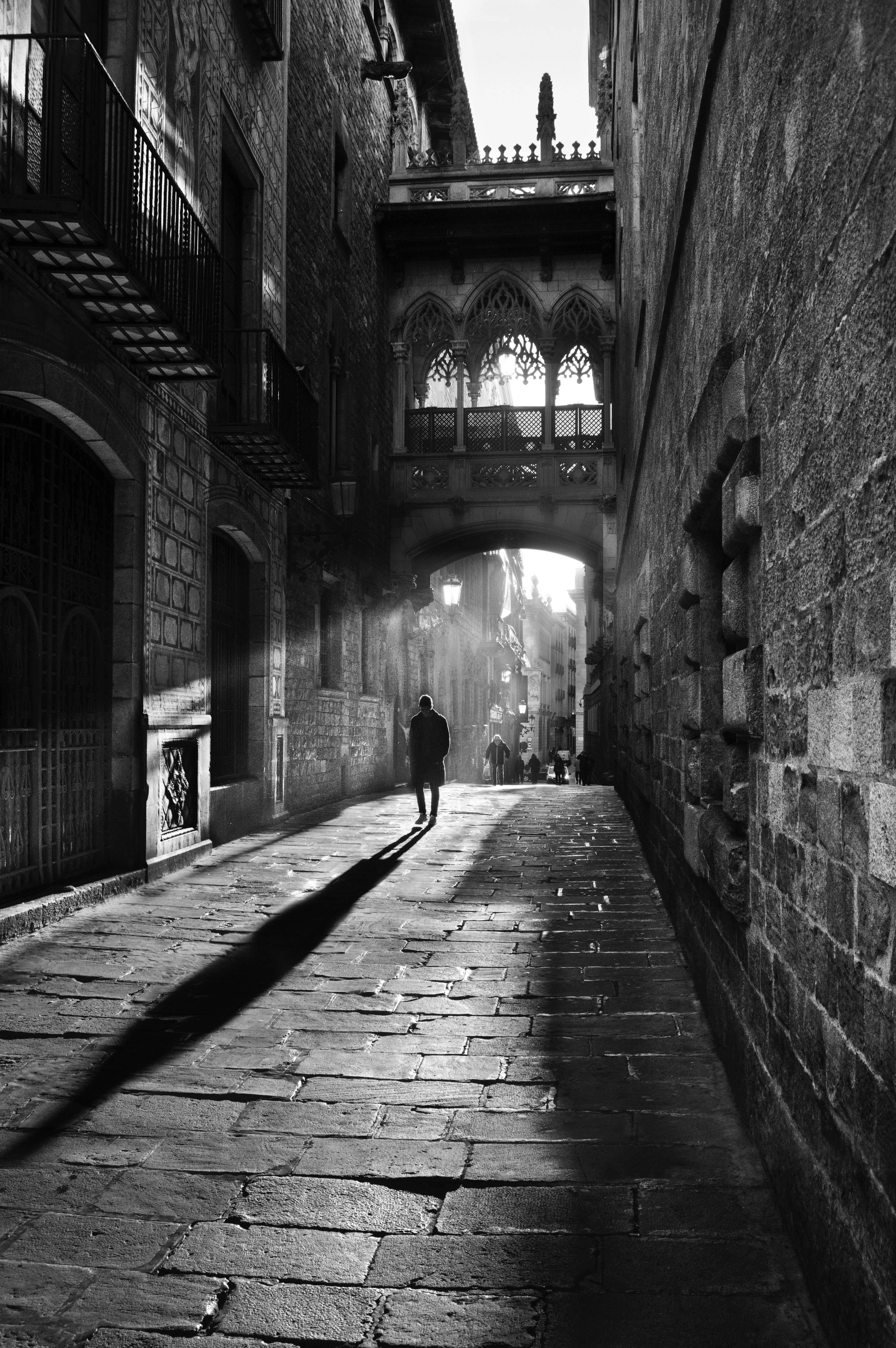 black and white photography, historical architecture, narrow sunlit cobblestone alley, 5K Phone Wallpaper