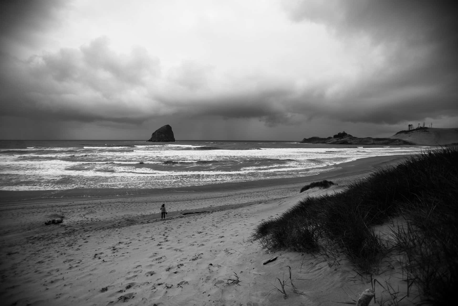 Black And White Beach, windswept beach, dramatic overcast sky, Full HD Desktop Wallpaper