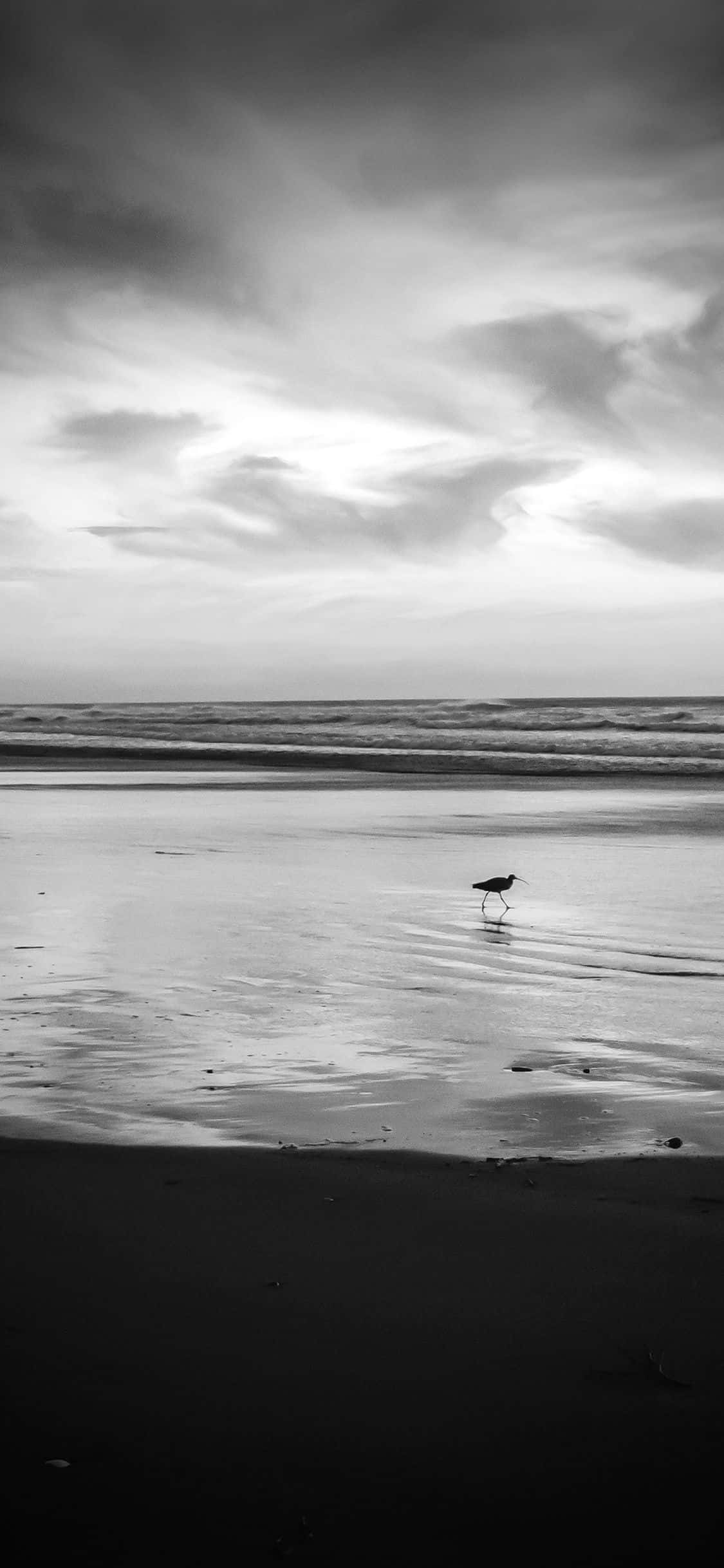 Black And White Beach, wet sandy beach, dramatic cloudy sky, Full HD Phone Wallpaper