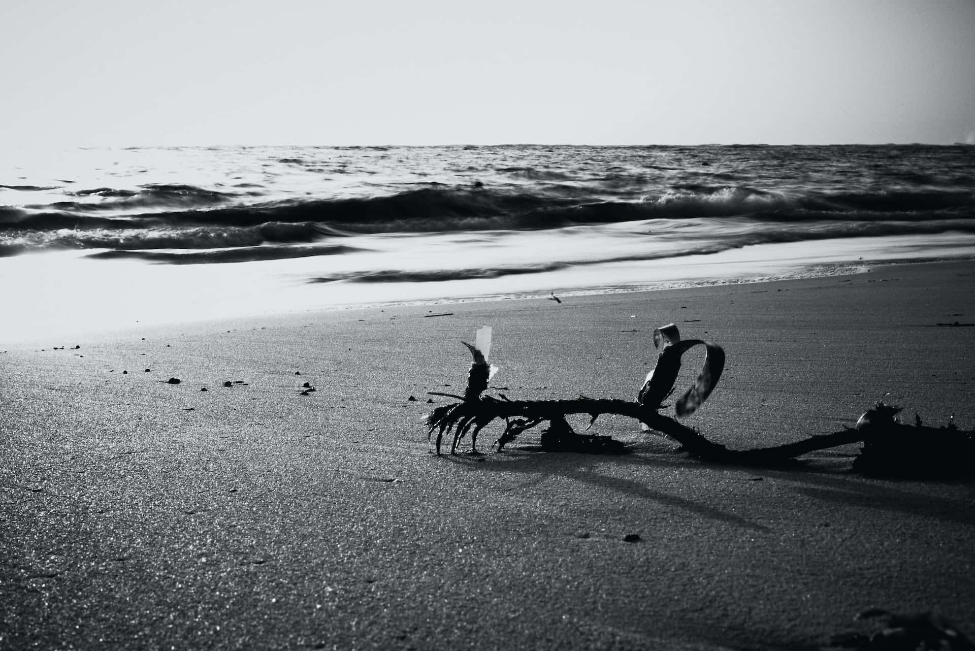 Black and White Beach, monochrome beach scene, waves rolling in, Full HD Desktop Wallpaper