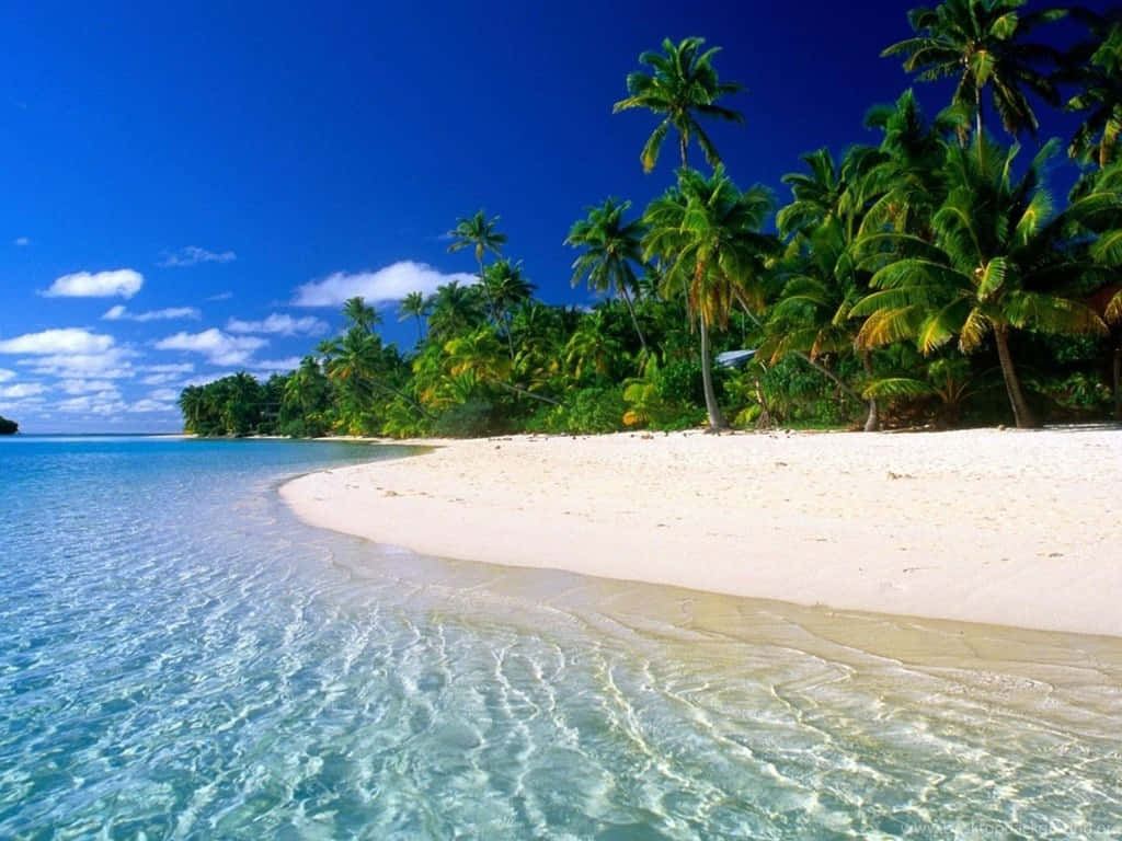 turquoise waters, white sand beach, lush green palm trees, SD Desktop Wallpaper