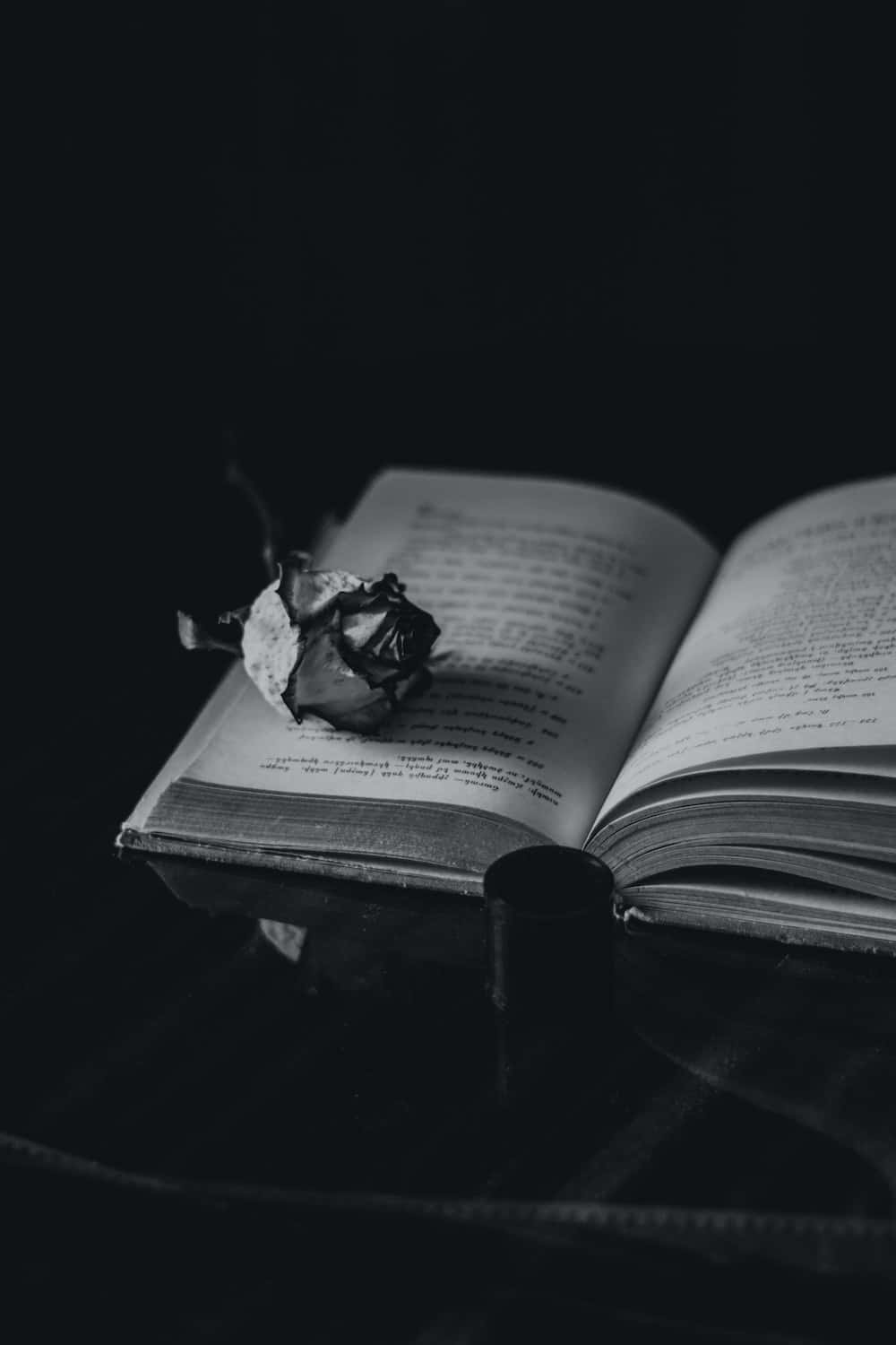 black and white book, open book, withered rose, HD Phone Wallpaper
