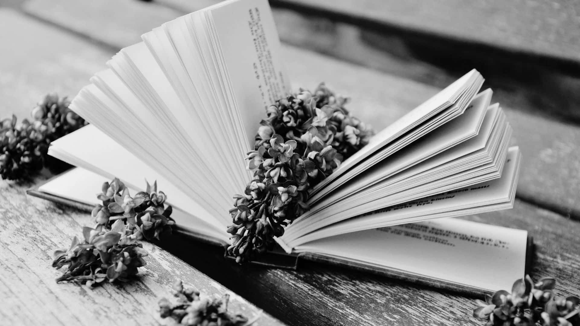Black And White Book, open book, dried flowers, Full HD Desktop Wallpaper