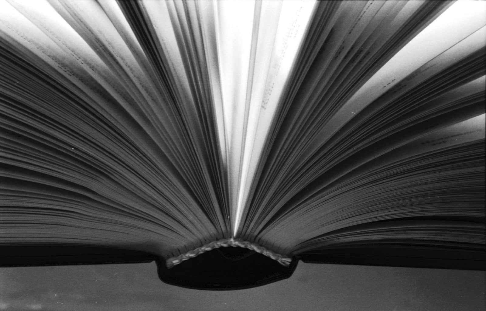 black and white book, open book, pages fanning out like wings, HD Desktop Wallpaper